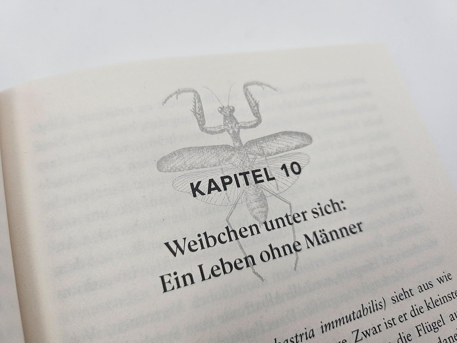 Beispielinhalt (Bild) Bitch - Ein revolutionärer Blick auf Sex, Evolution und die Macht des Weiblichen im Tierreich