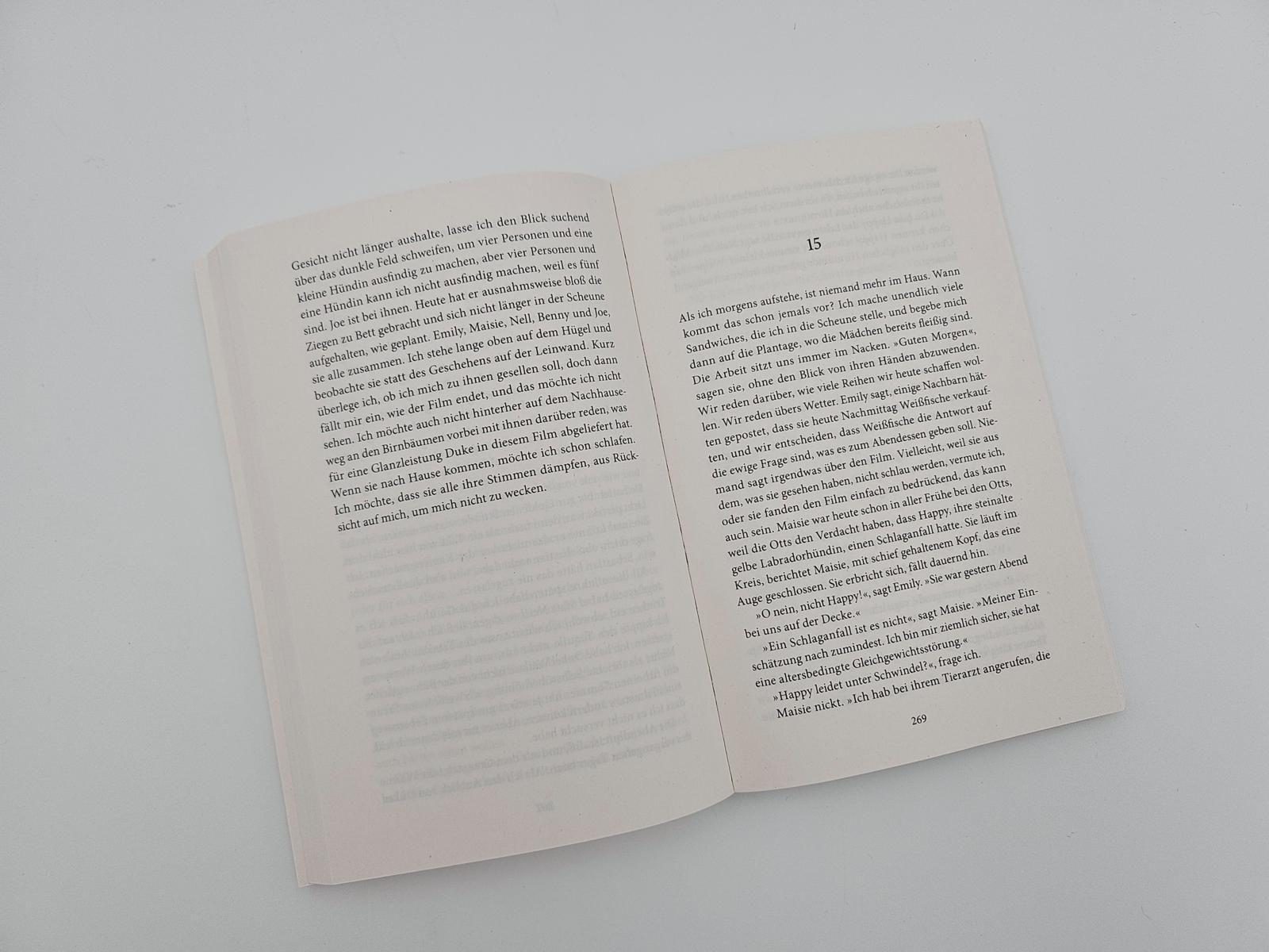 Beispielinhalt (Bild) Der Sommer zu Hause