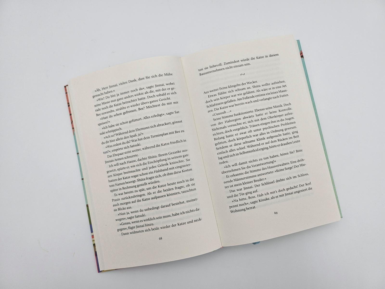 Beispielinhalt (Bild) Das Glück bringt eine Katze