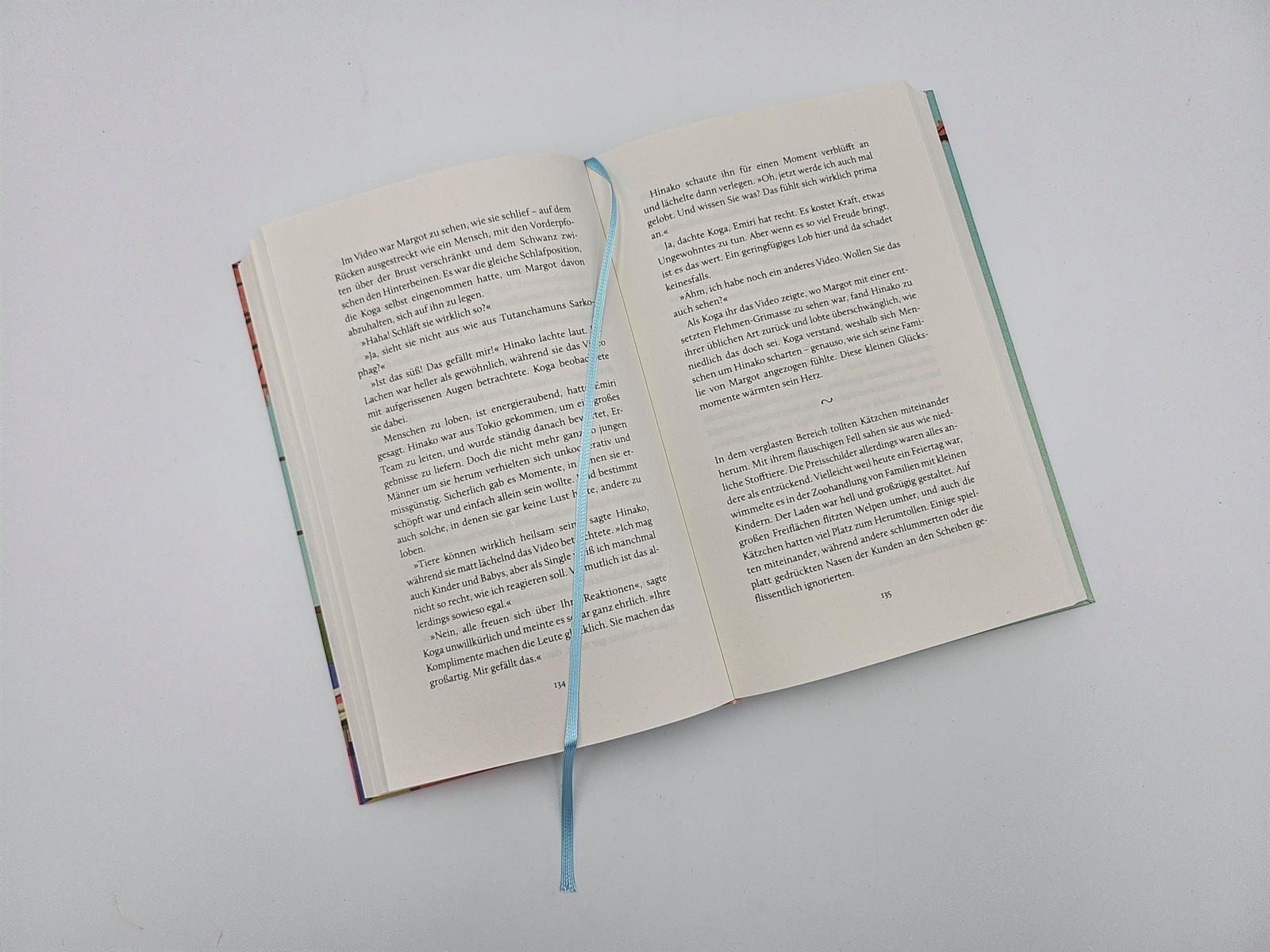 Beispielinhalt (Bild) Das Glück bringt eine Katze