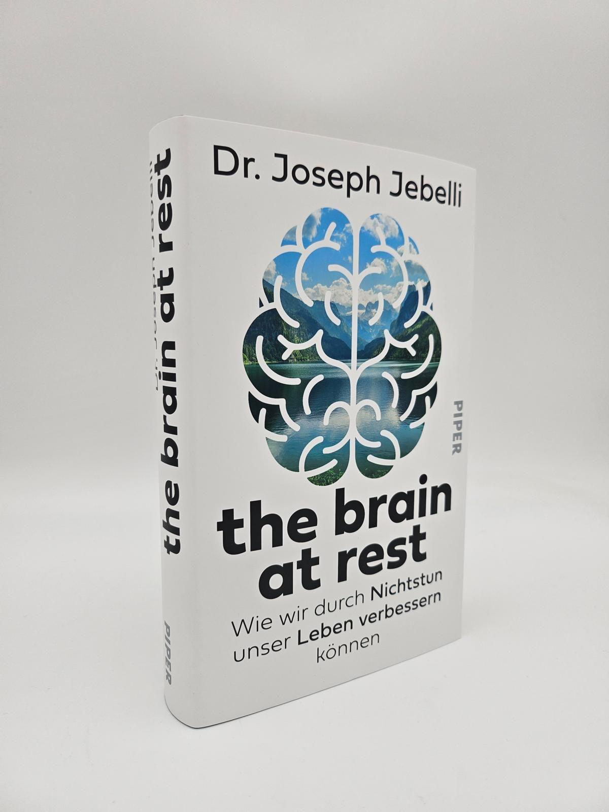 Beispielinhalt (Bild) the brain at rest