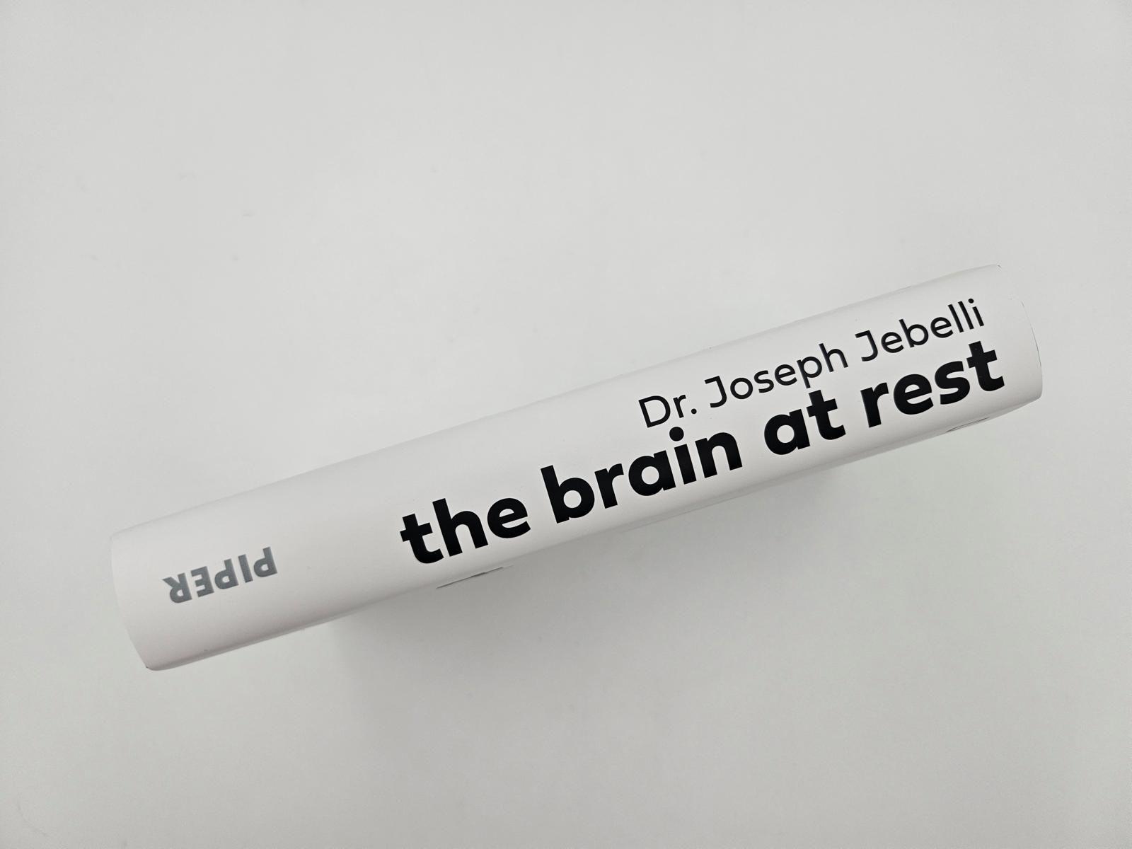 Beispielinhalt (Bild) the brain at rest