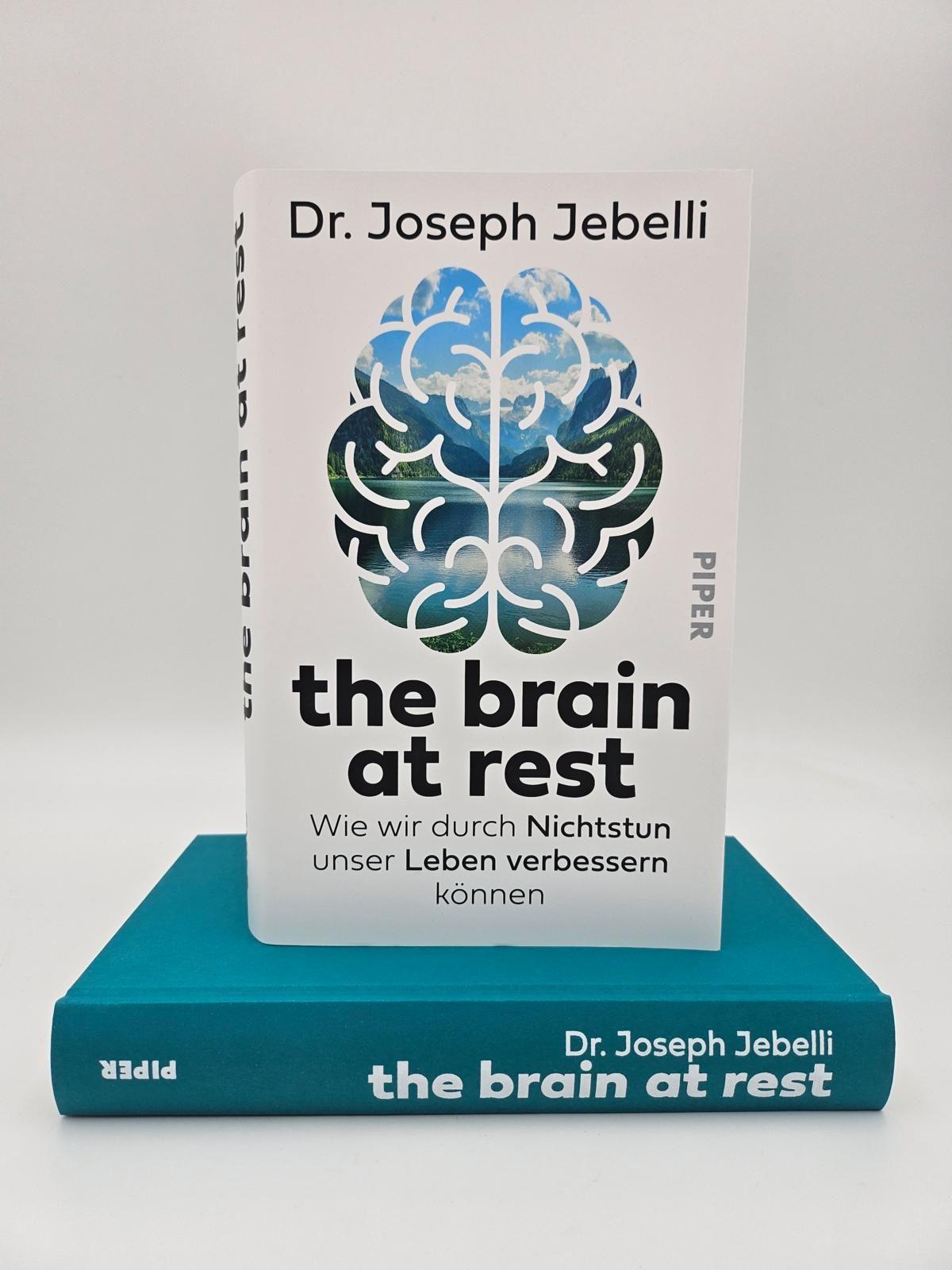 Beispielinhalt (Bild) the brain at rest