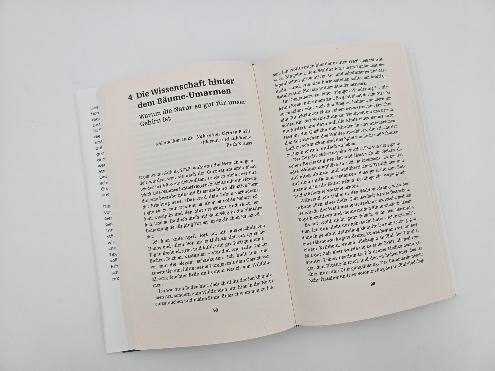 Beispielinhalt (Bild) the brain at rest