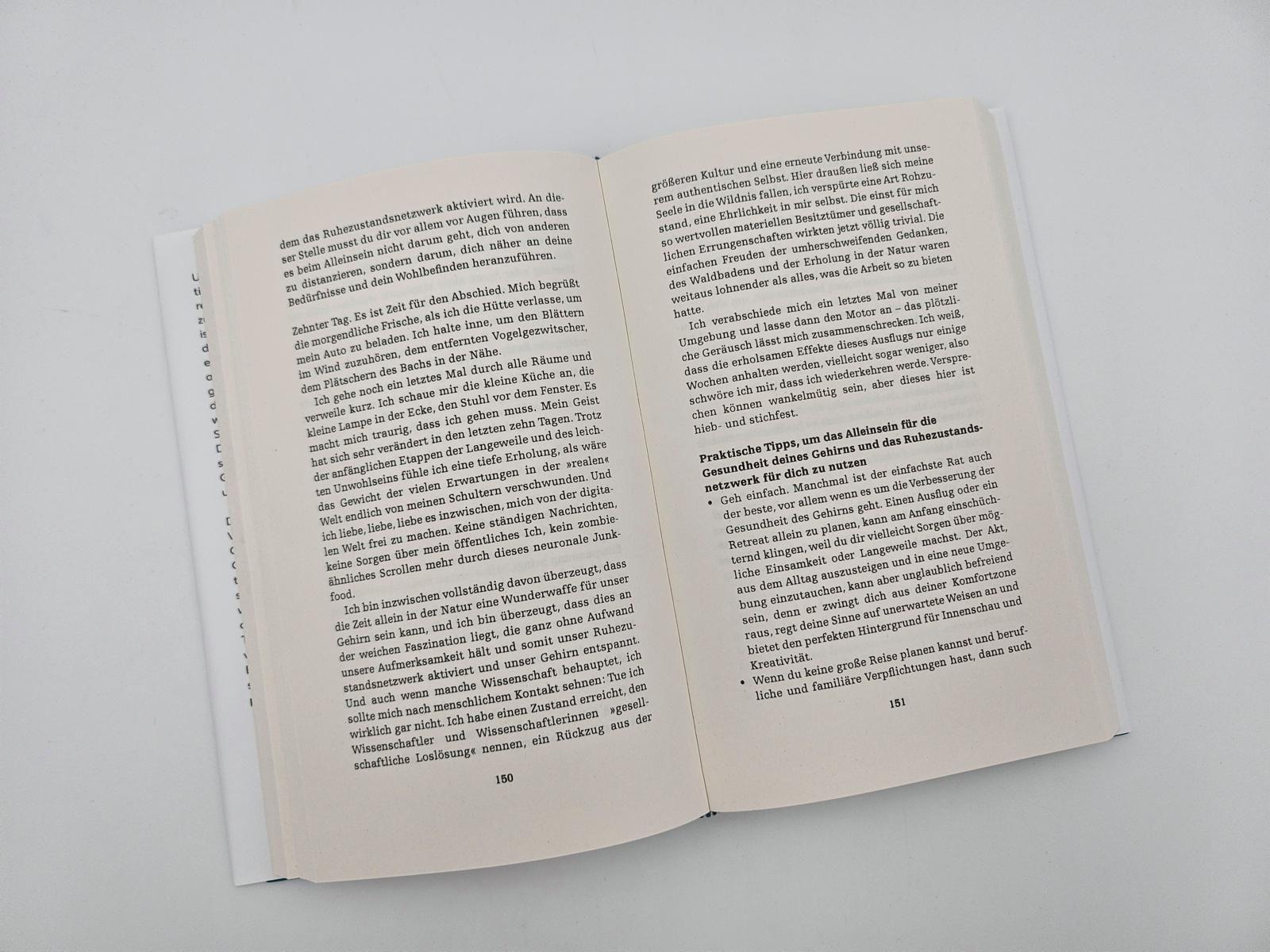 Beispielinhalt (Bild) the brain at rest