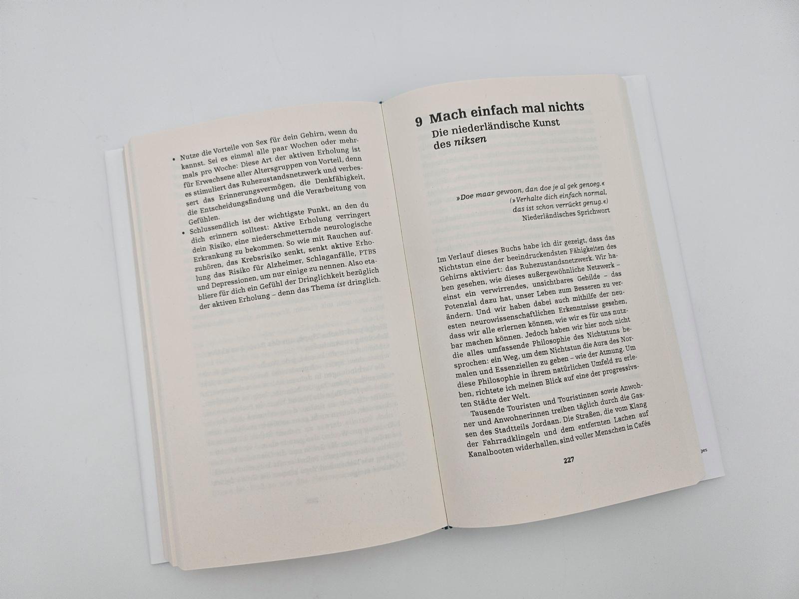 Beispielinhalt (Bild) the brain at rest