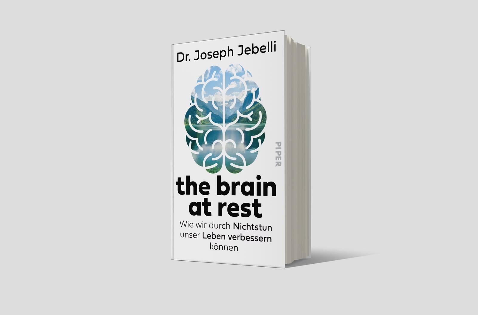 Beispielinhalt (Bild) the brain at rest