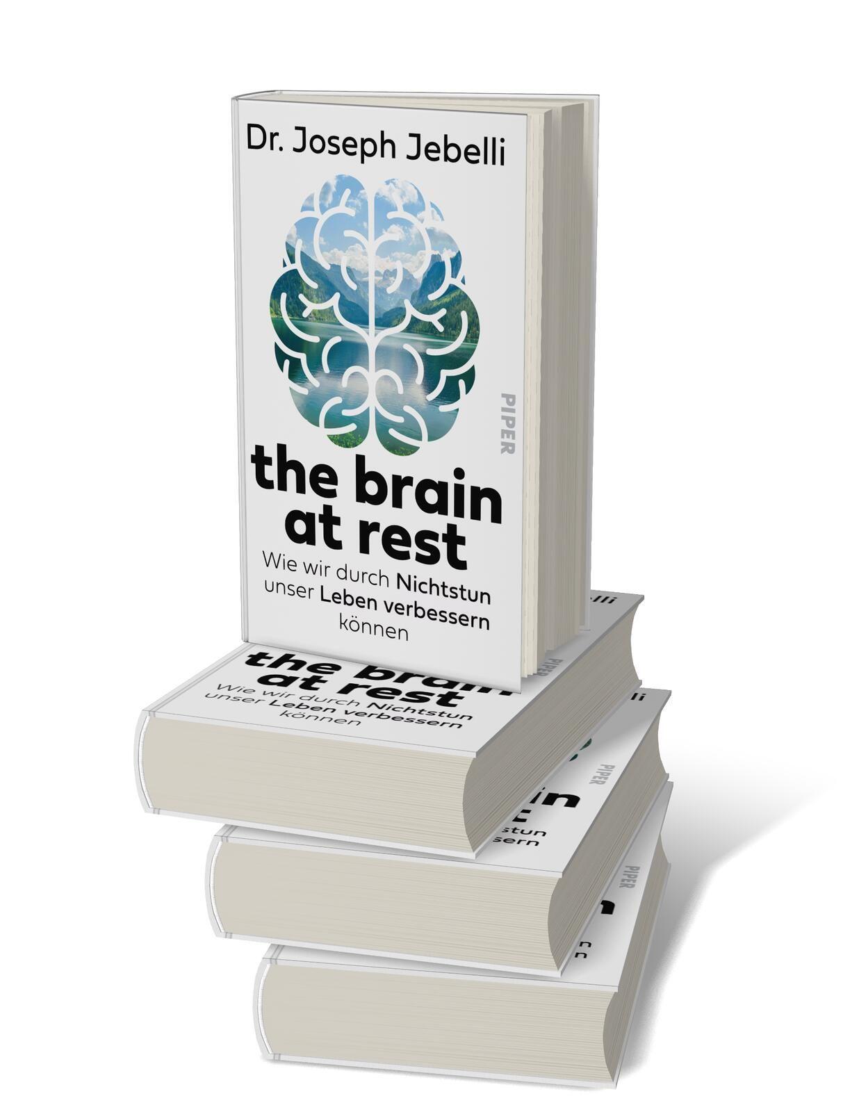 Beispielinhalt (Bild) the brain at rest