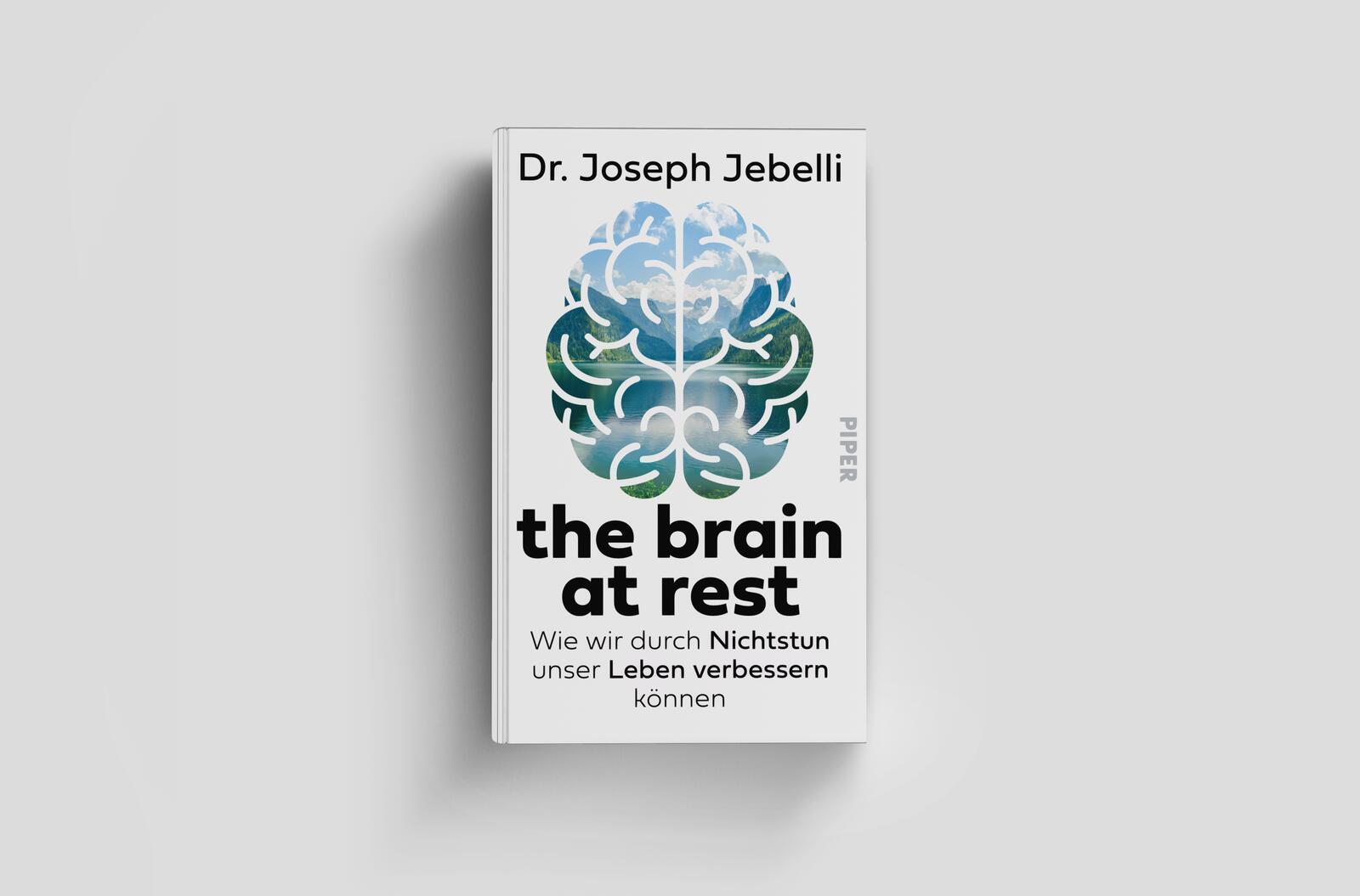 Beispielinhalt (Bild) the brain at rest