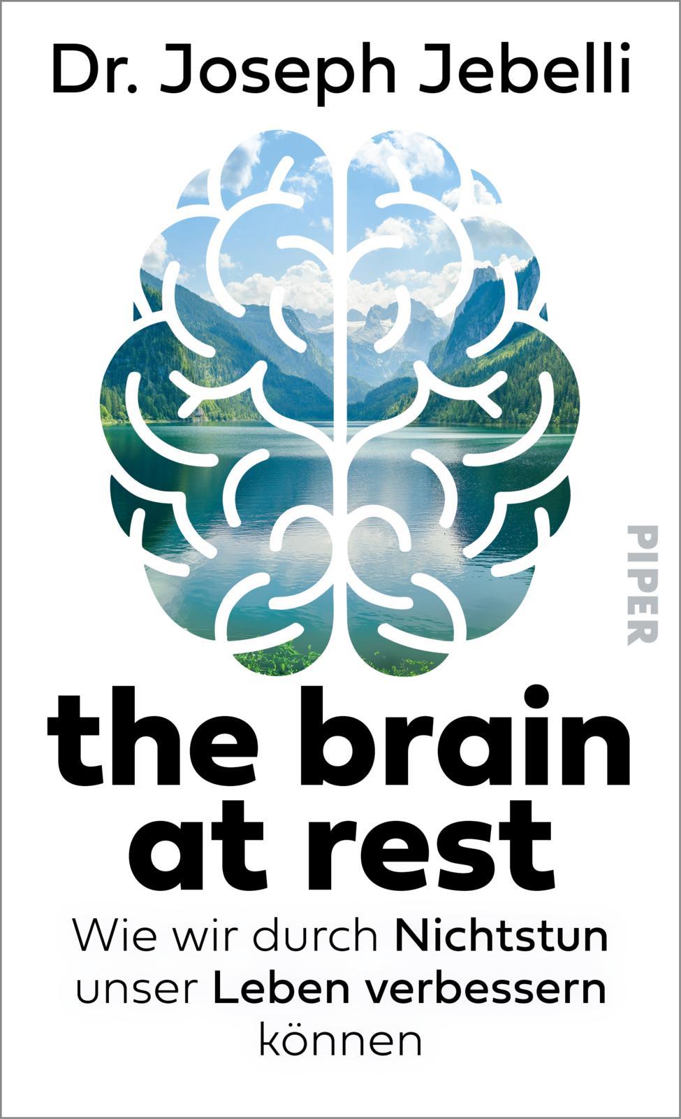 Vorderes Coverbild the brain at rest