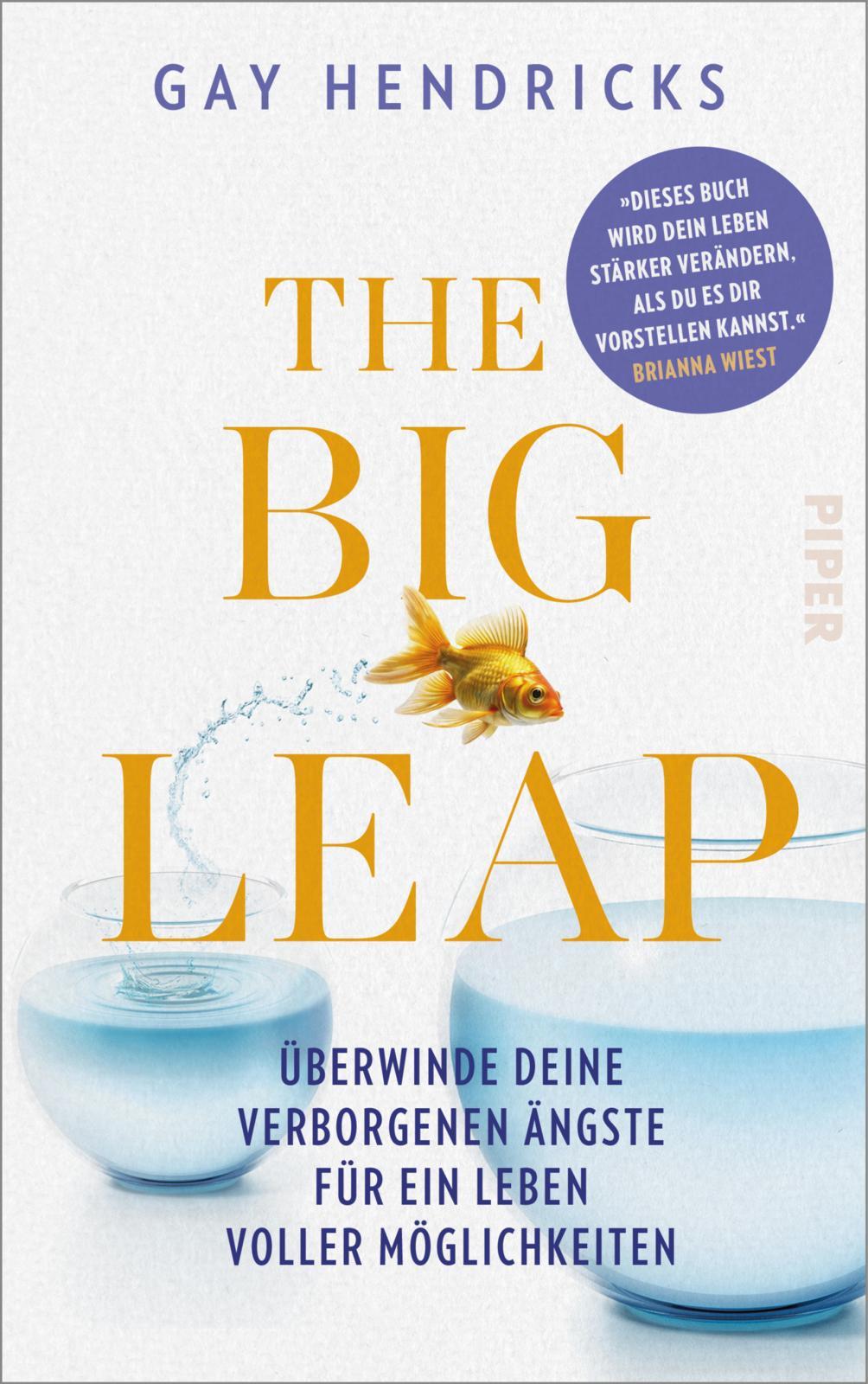 Vorderes Coverbild The Big Leap