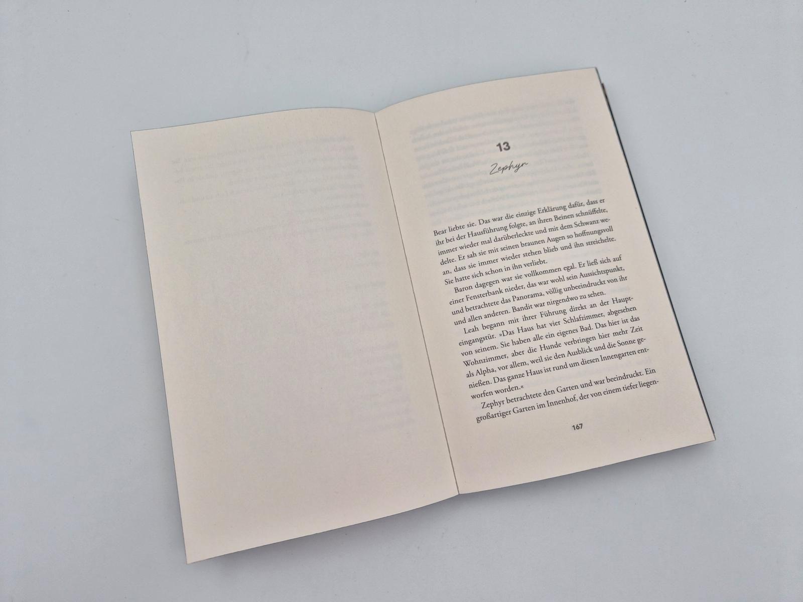 Beispielinhalt (Bild) The Finisher - Du bist sein Verhängnis