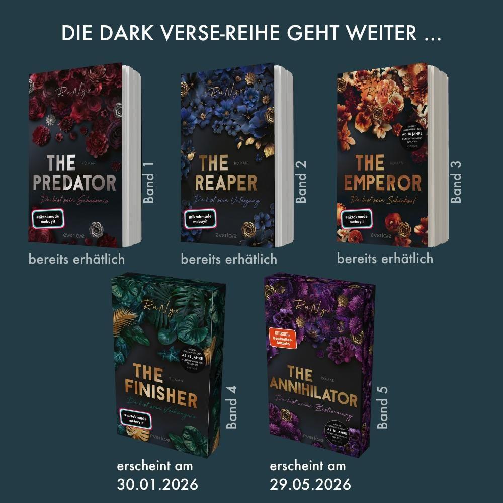 Beispielinhalt (Bild) The Finisher - Du bist sein Verhängnis