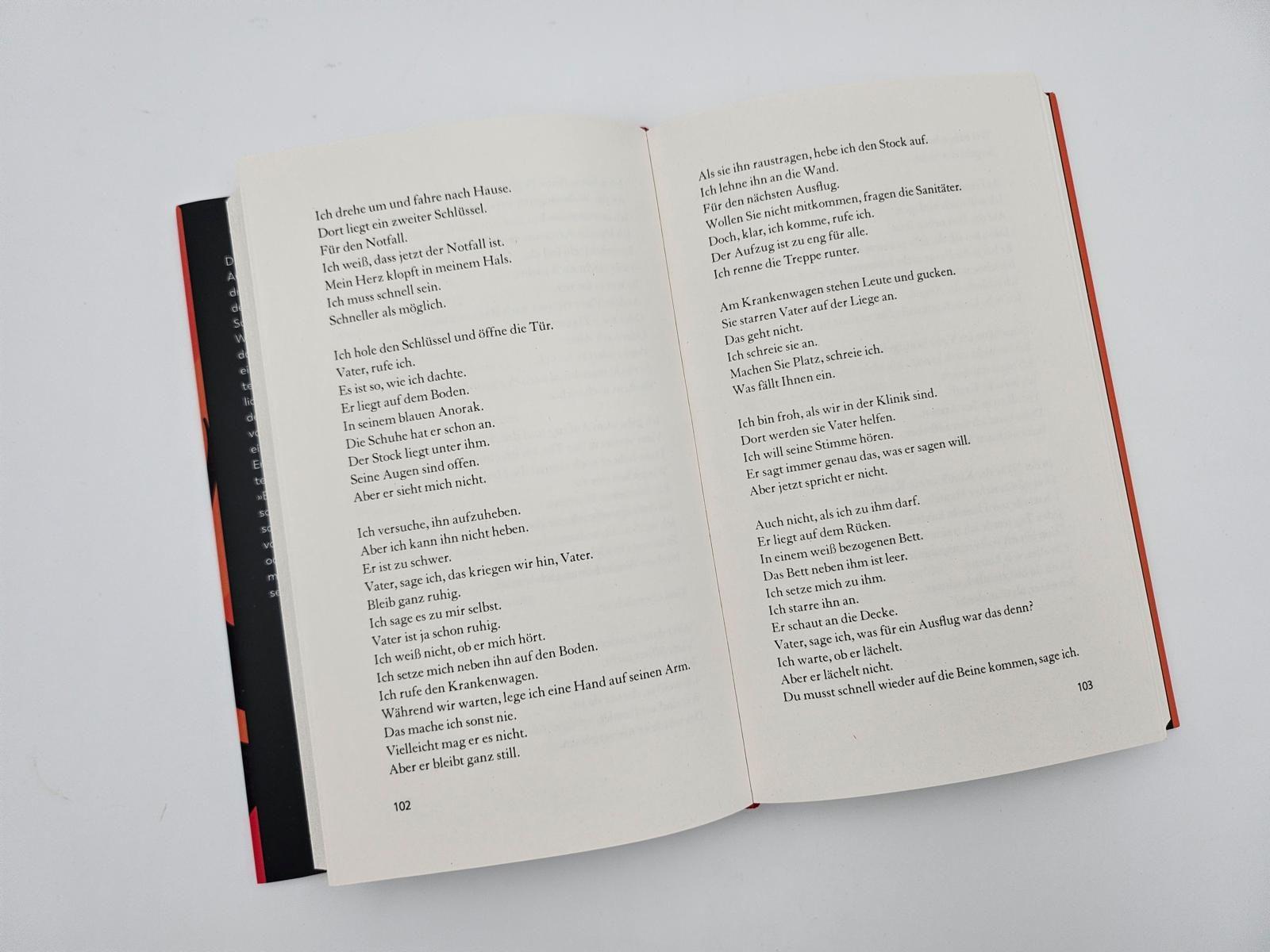 Beispielinhalt (Bild) Einen Vulkan besteigen