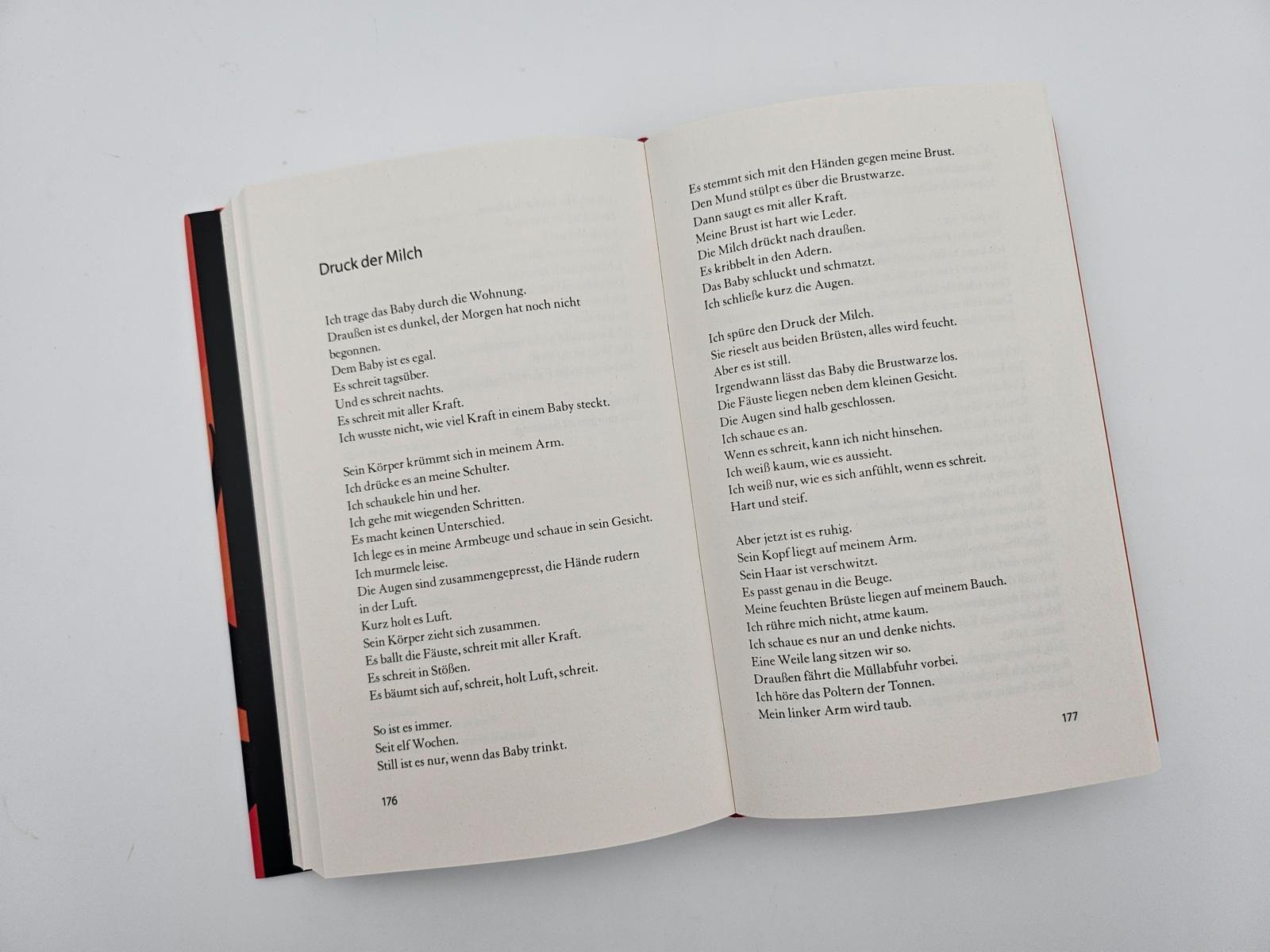 Beispielinhalt (Bild) Einen Vulkan besteigen