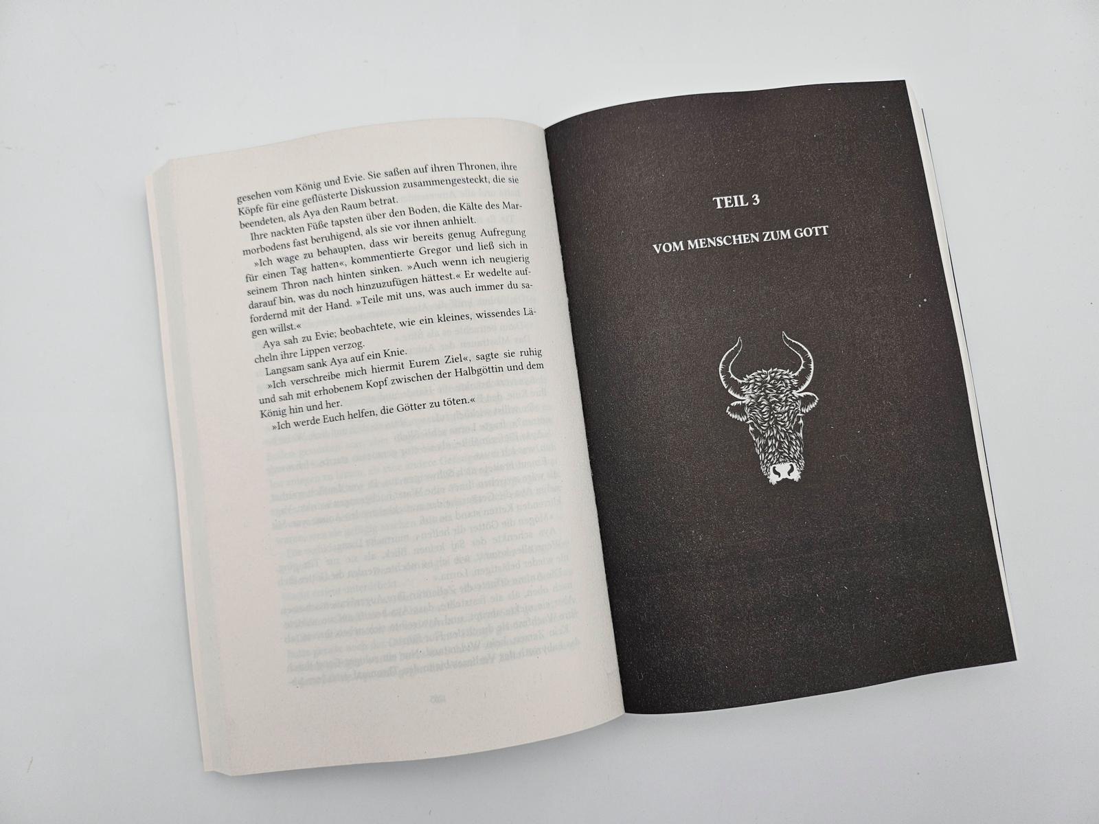 Beispielinhalt (Bild) The Curse of Gods