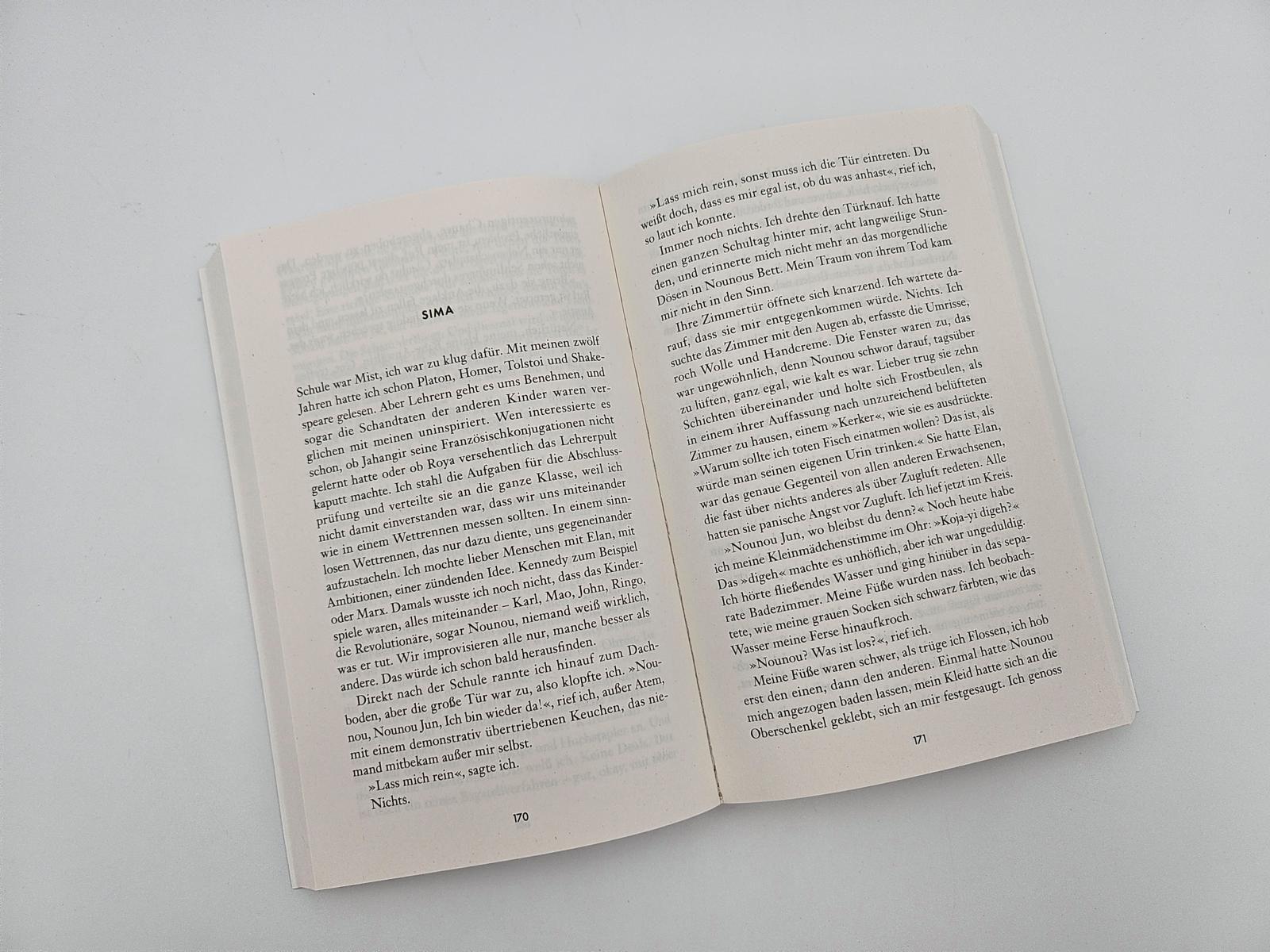 Beispielinhalt (Bild) Die Perserinnen