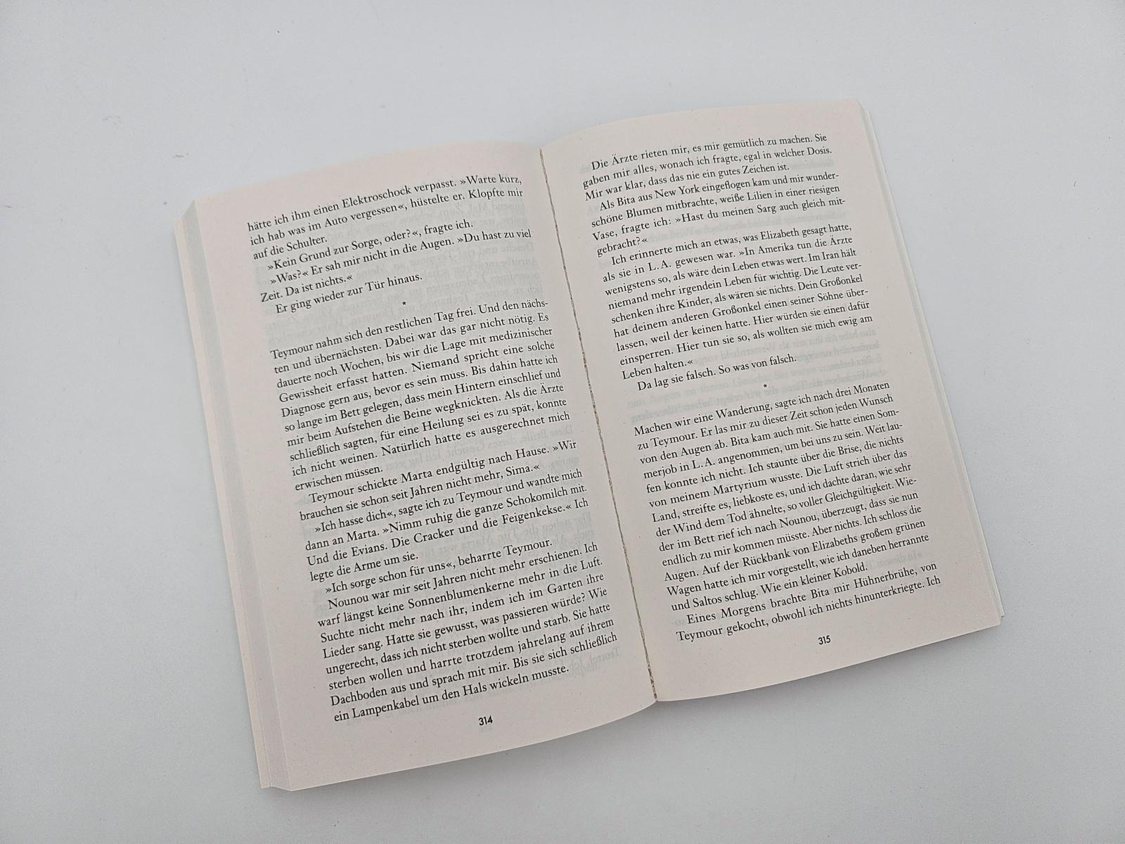 Beispielinhalt (Bild) Die Perserinnen