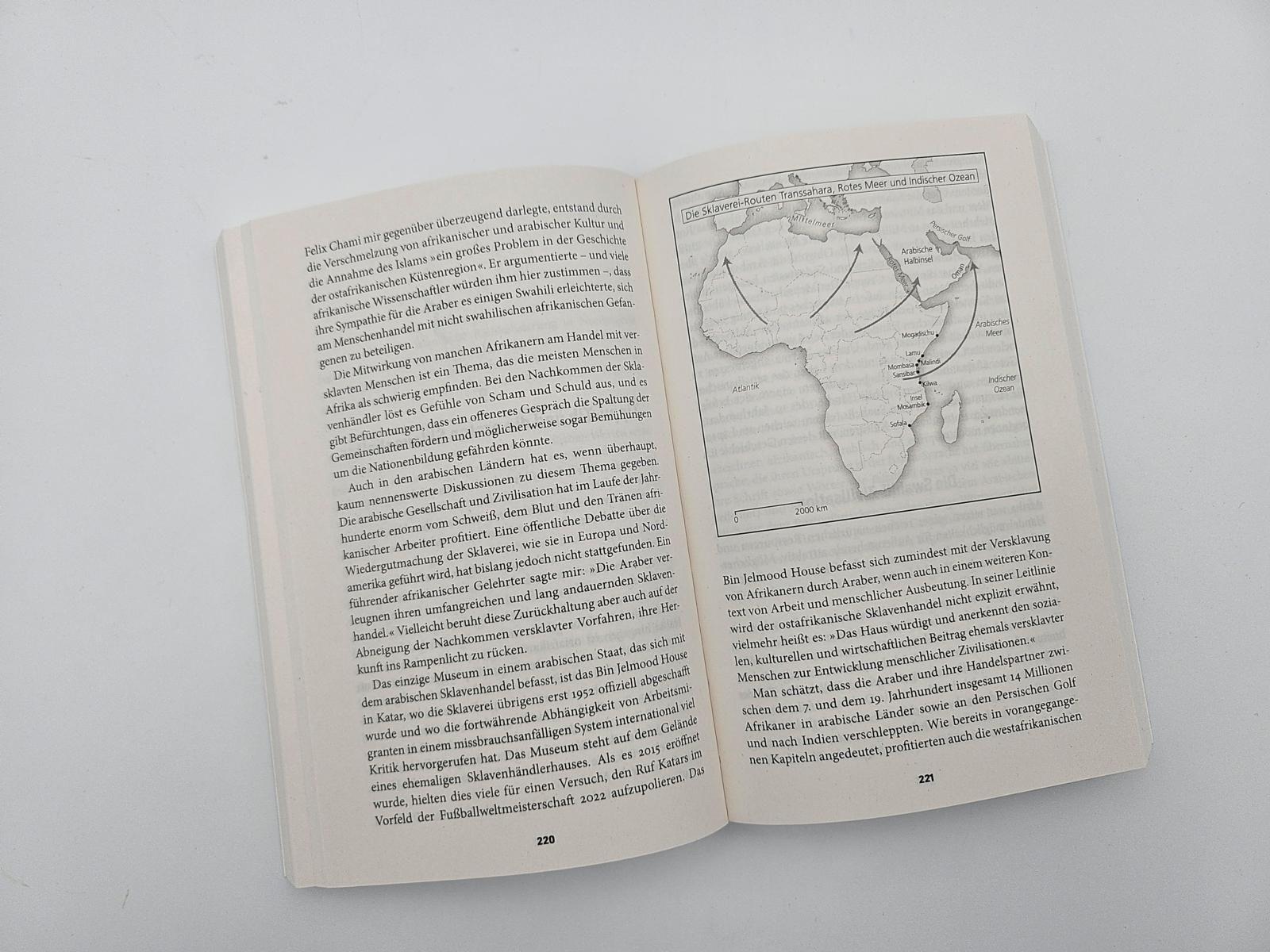 Beispielinhalt (Bild) Eine afrikanische Geschichte Afrikas