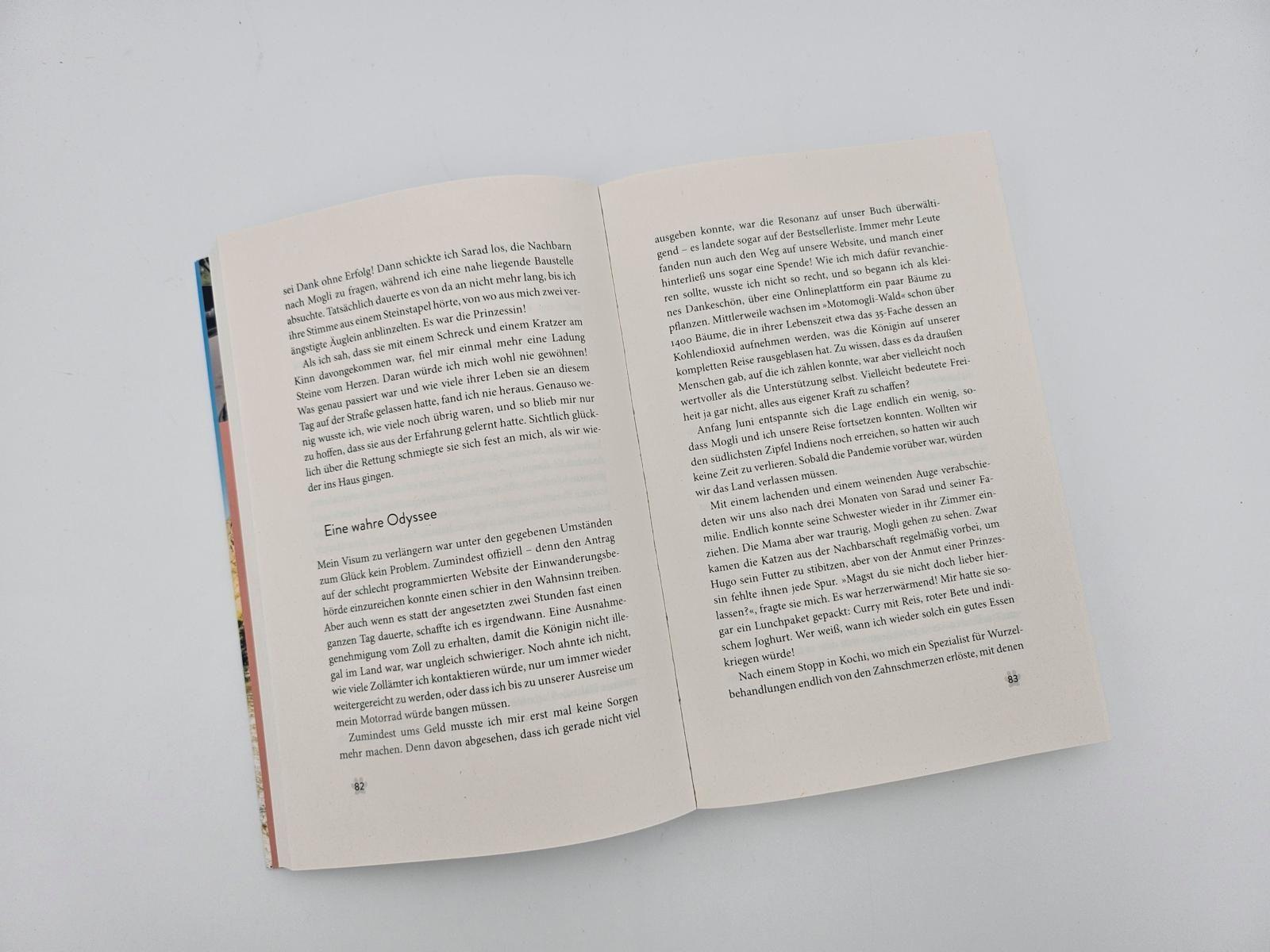 Beispielinhalt (Bild) Mit der Katze weiter um die Welt