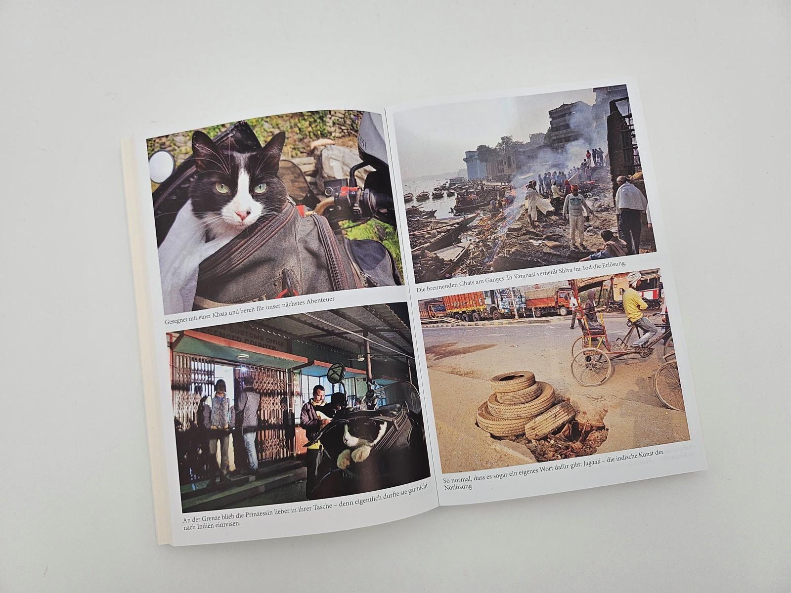 Beispielinhalt (Bild) Mit der Katze weiter um die Welt