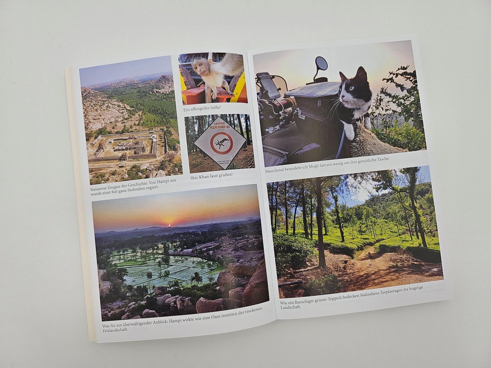 Beispielinhalt (Bild) Mit der Katze weiter um die Welt