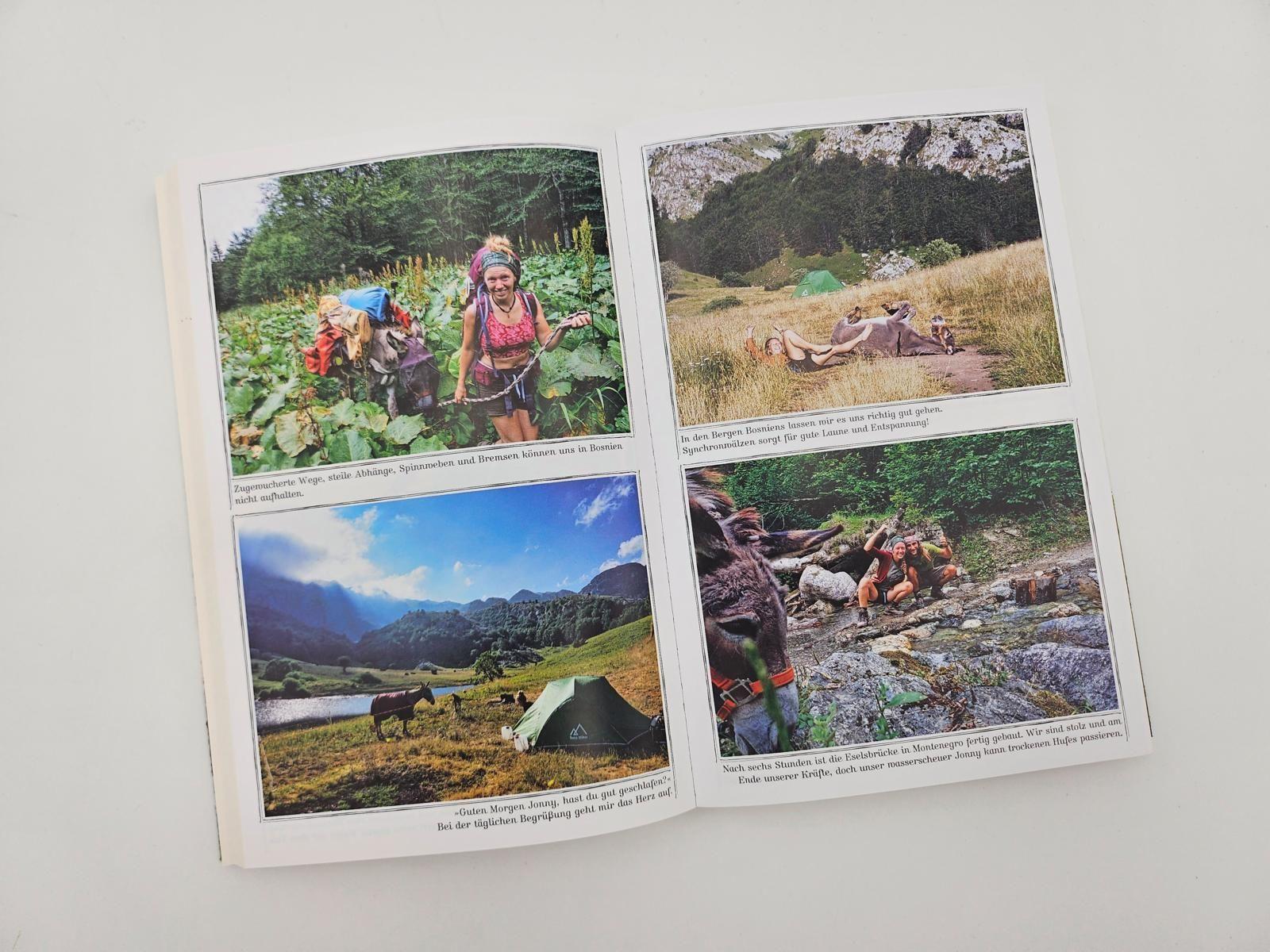 Beispielinhalt (Bild) Immer den Nüstern nach