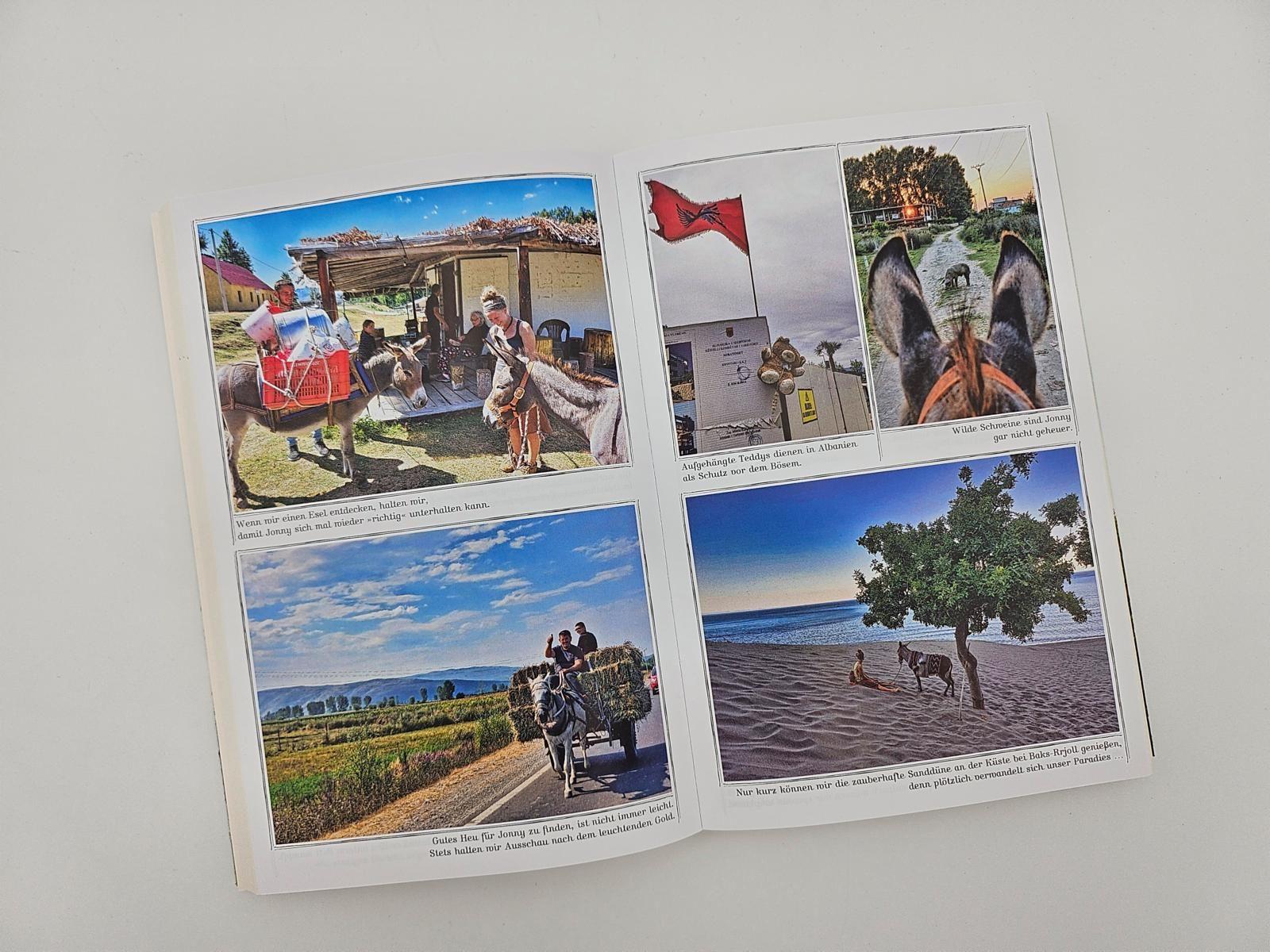 Beispielinhalt (Bild) Immer den Nüstern nach