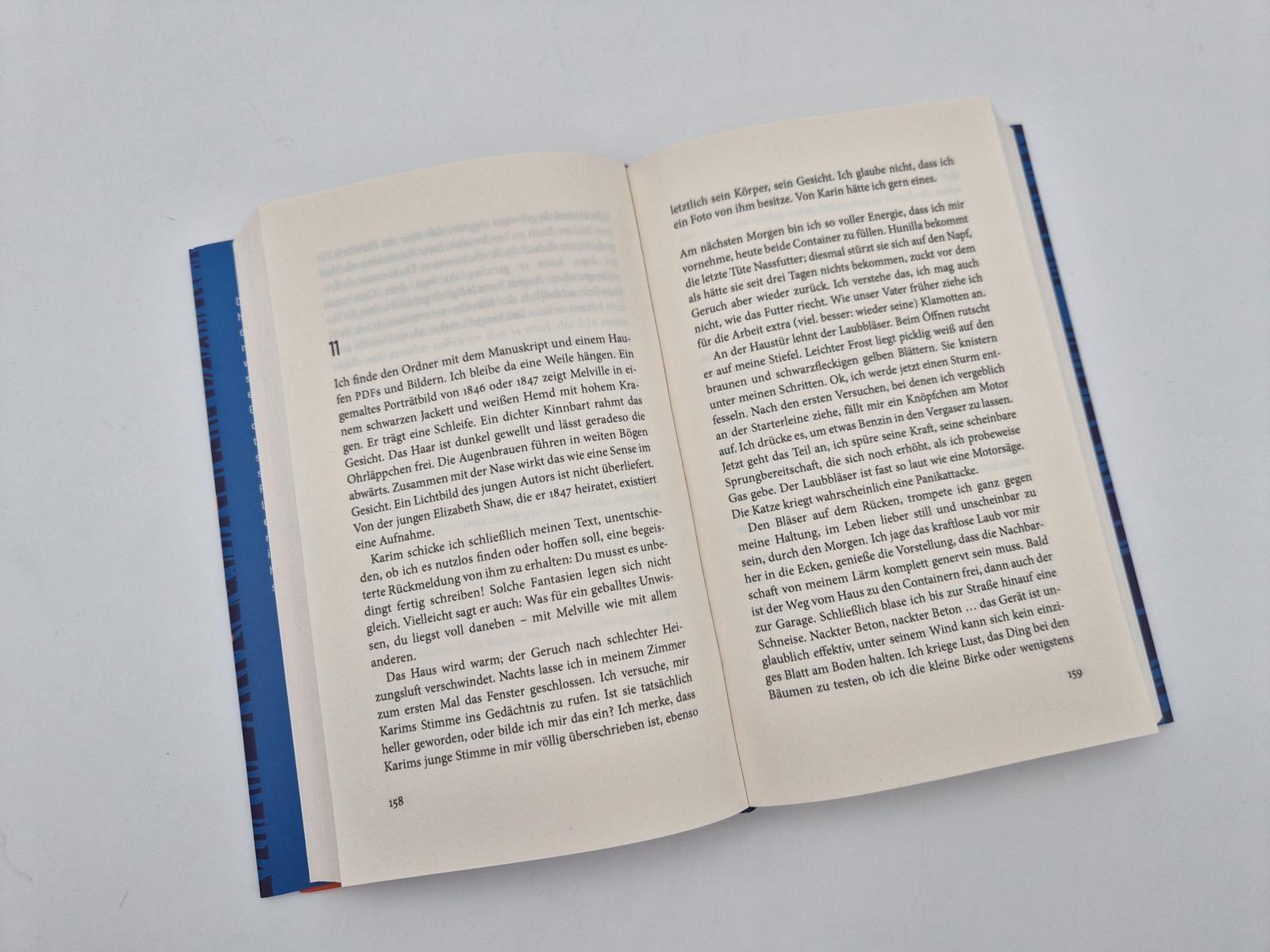 Beispielinhalt (Bild) Melville verschwindet