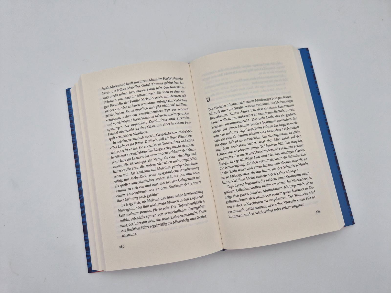 Beispielinhalt (Bild) Melville verschwindet