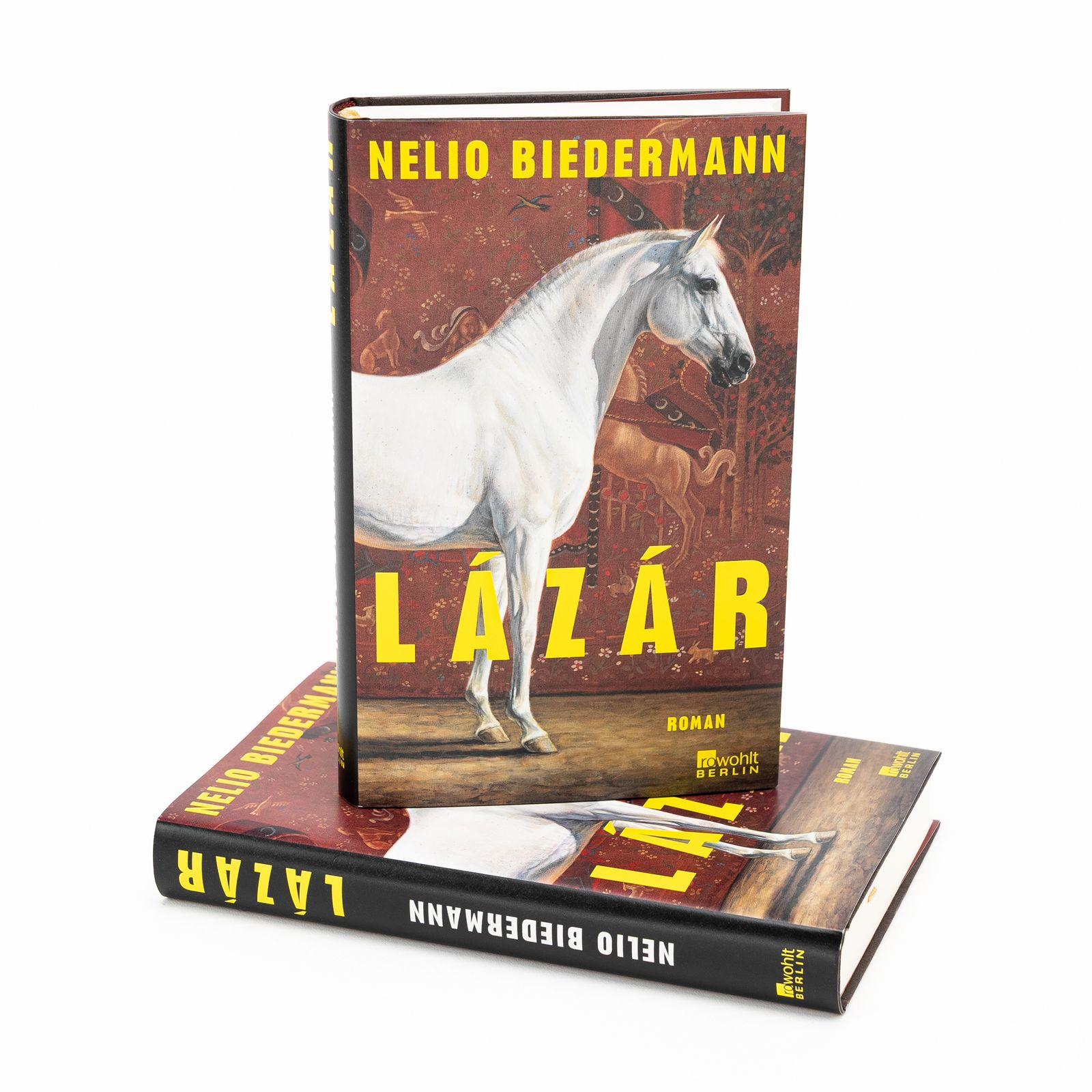 Beispielinhalt (Bild) Lázár