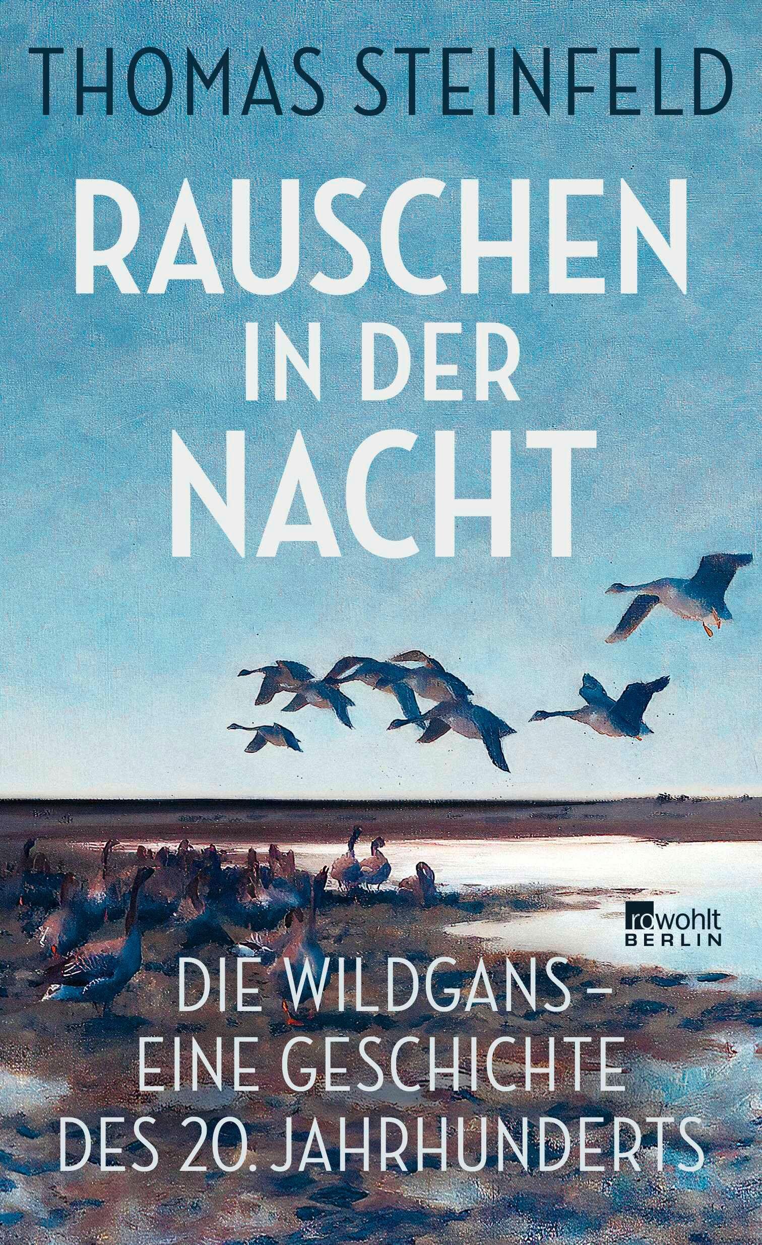 Vorderes Coverbild Rauschen in der Nacht