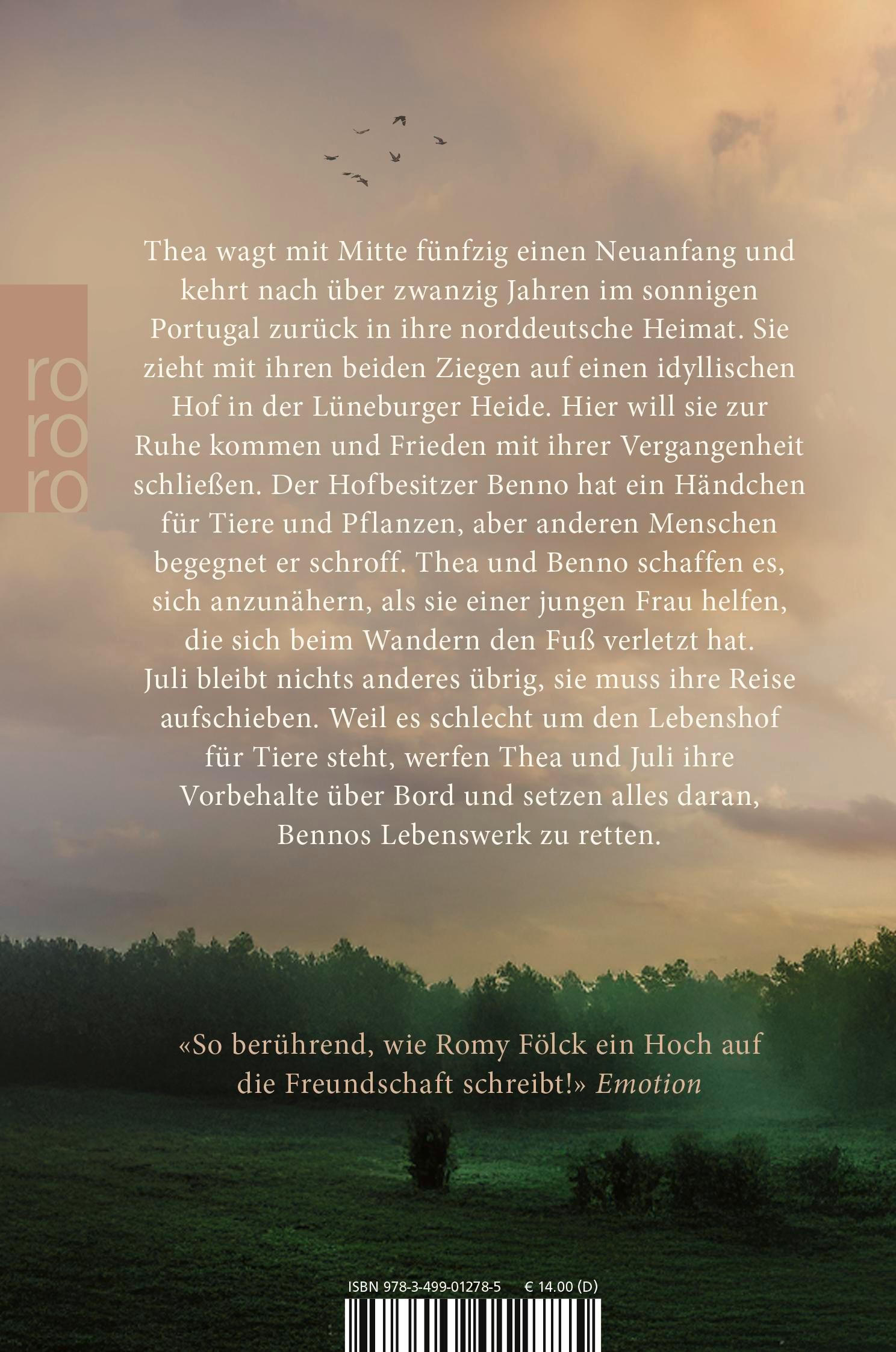 Rückseitencover Das Licht in den Birken