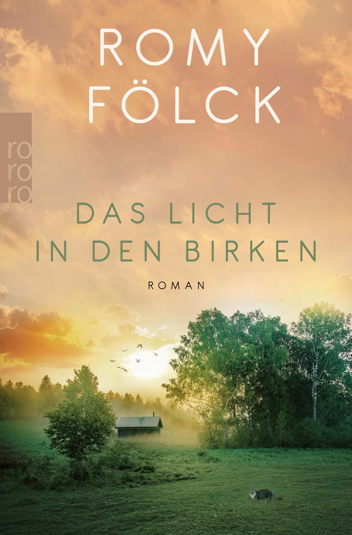 Vorderes Coverbild Das Licht in den Birken