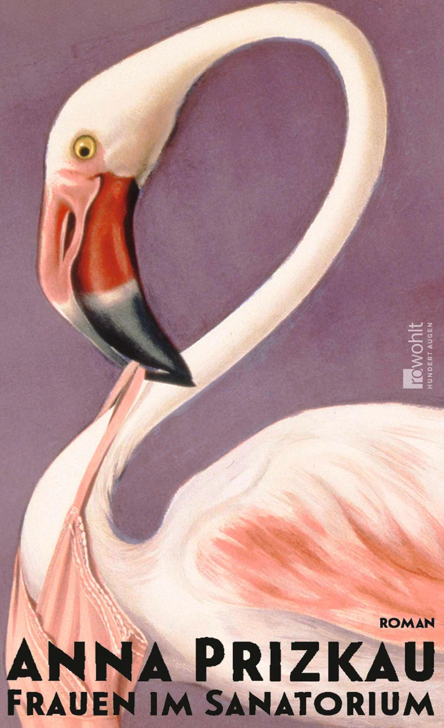 Vorderes Coverbild Frauen im Sanatorium