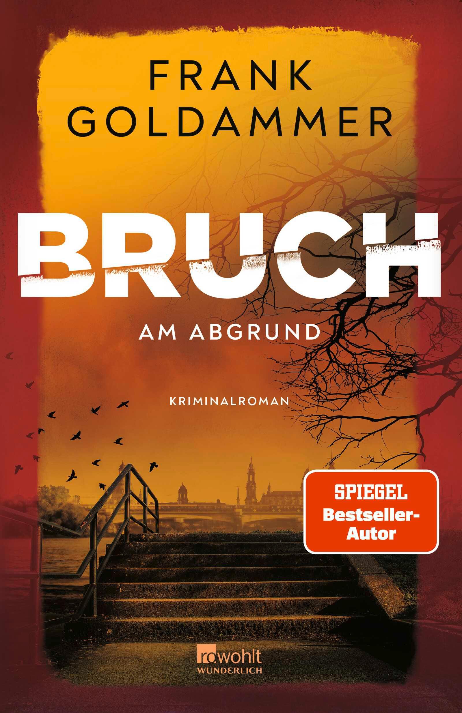 Vorderes Coverbild Bruch: Am Abgrund