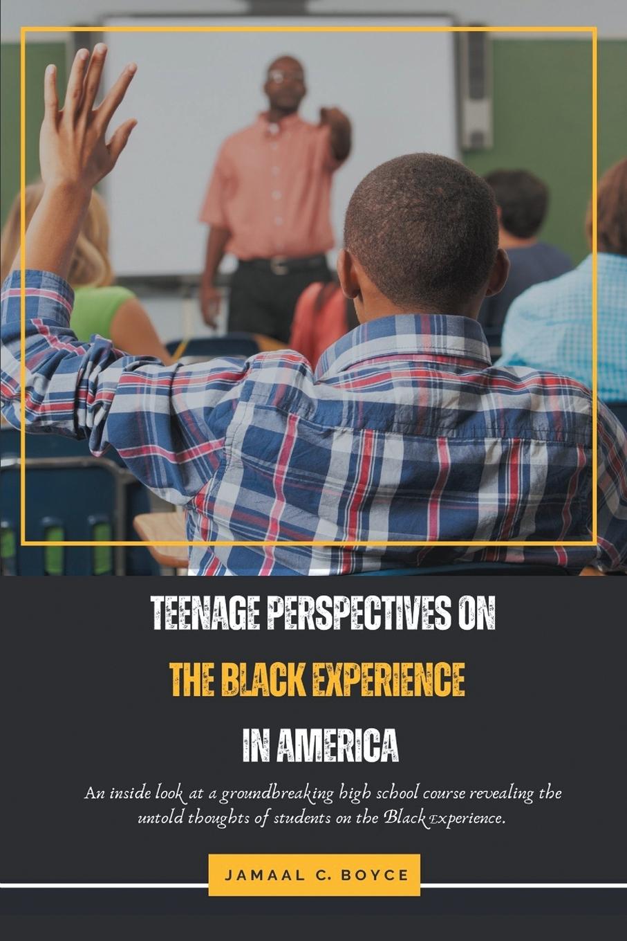Vorderes Coverbild Teenage Perspectives On The Black Experience In America