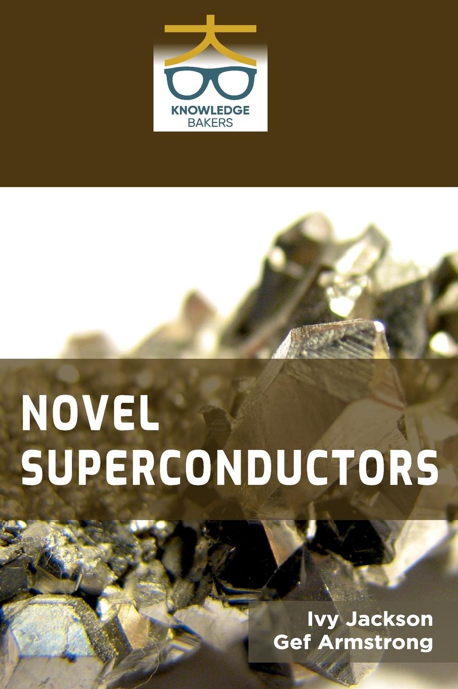 Vorderes Coverbild Novel Superconductors