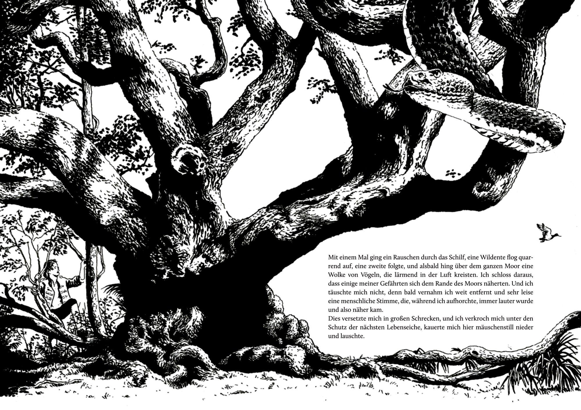 Beispielinhalt (Bild) Die Schatzinsel