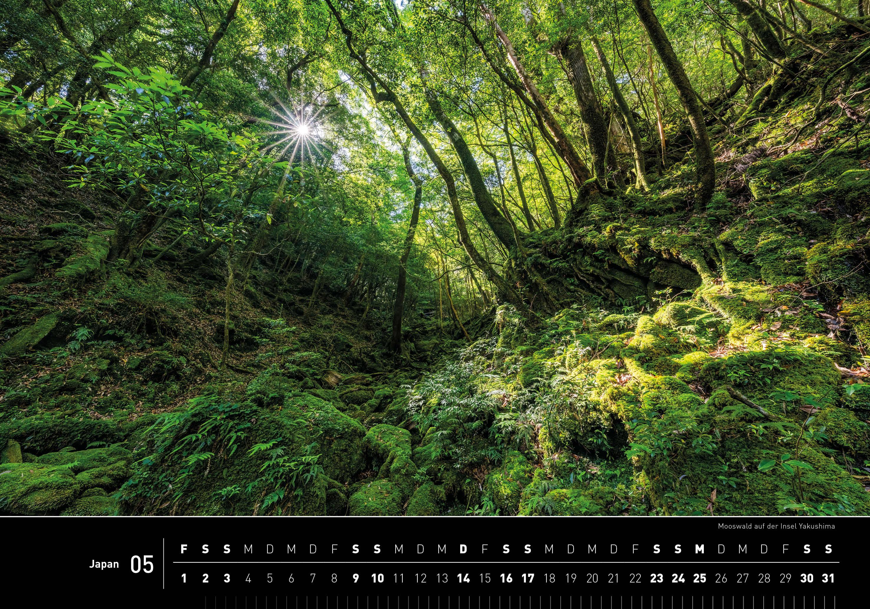 Beispielinhalt (Bild) Japan Premiumkalender 2026