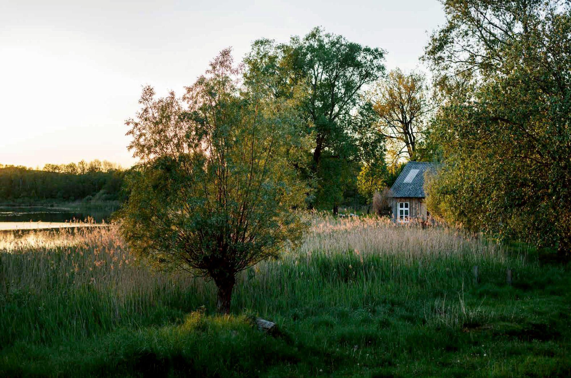Beispielinhalt (Bild) Krautkopf (Erweiterte Neuauflage)
