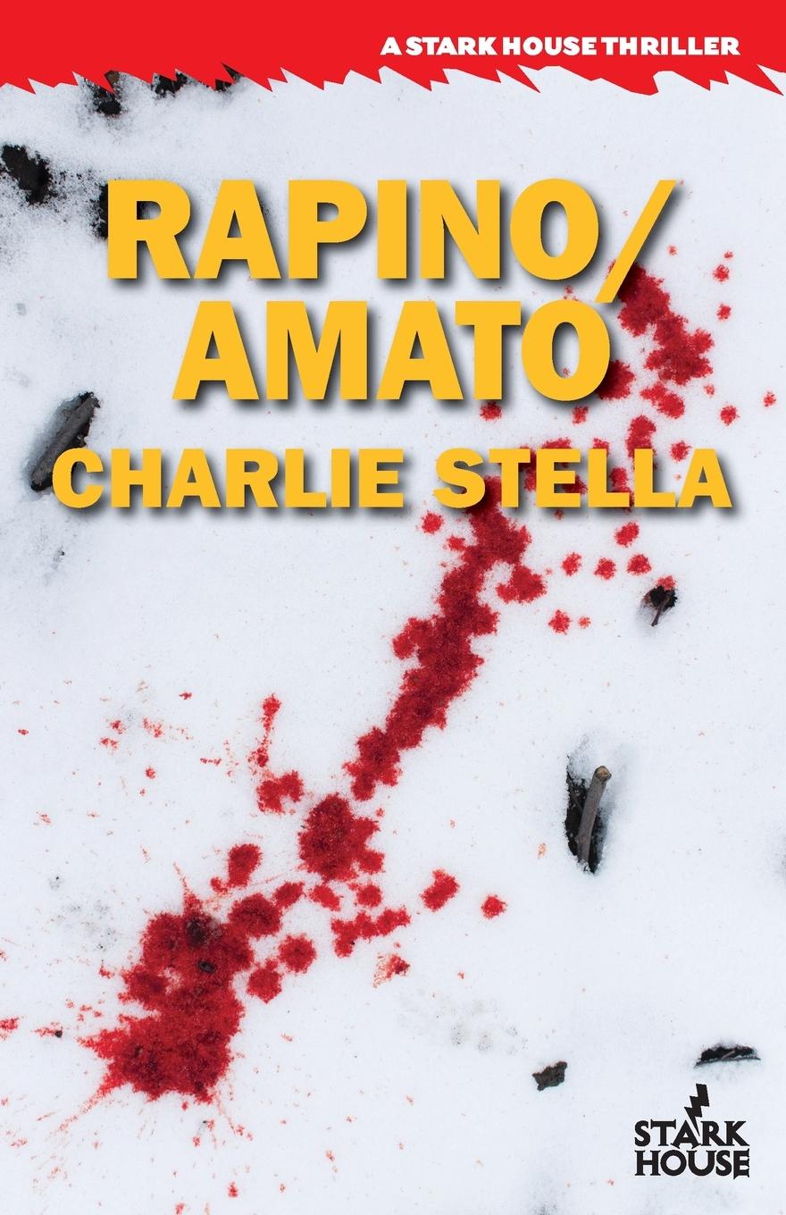 Vorderes Coverbild Rapino/Amato