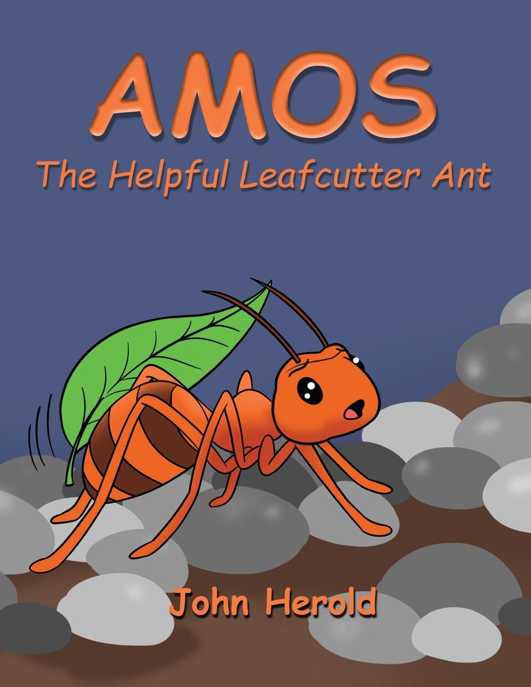 Vorderes Coverbild AMOS