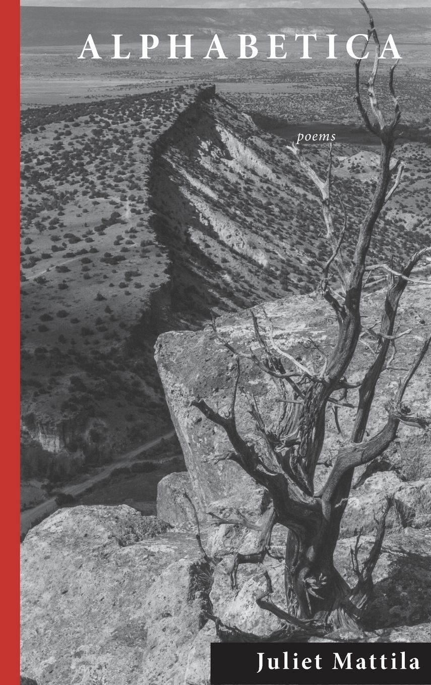 Vorderes Coverbild Alphabetica