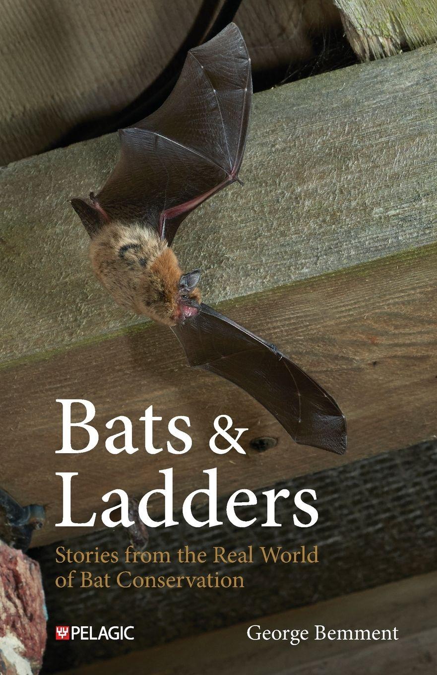 Vorderes Coverbild Bats & Ladders