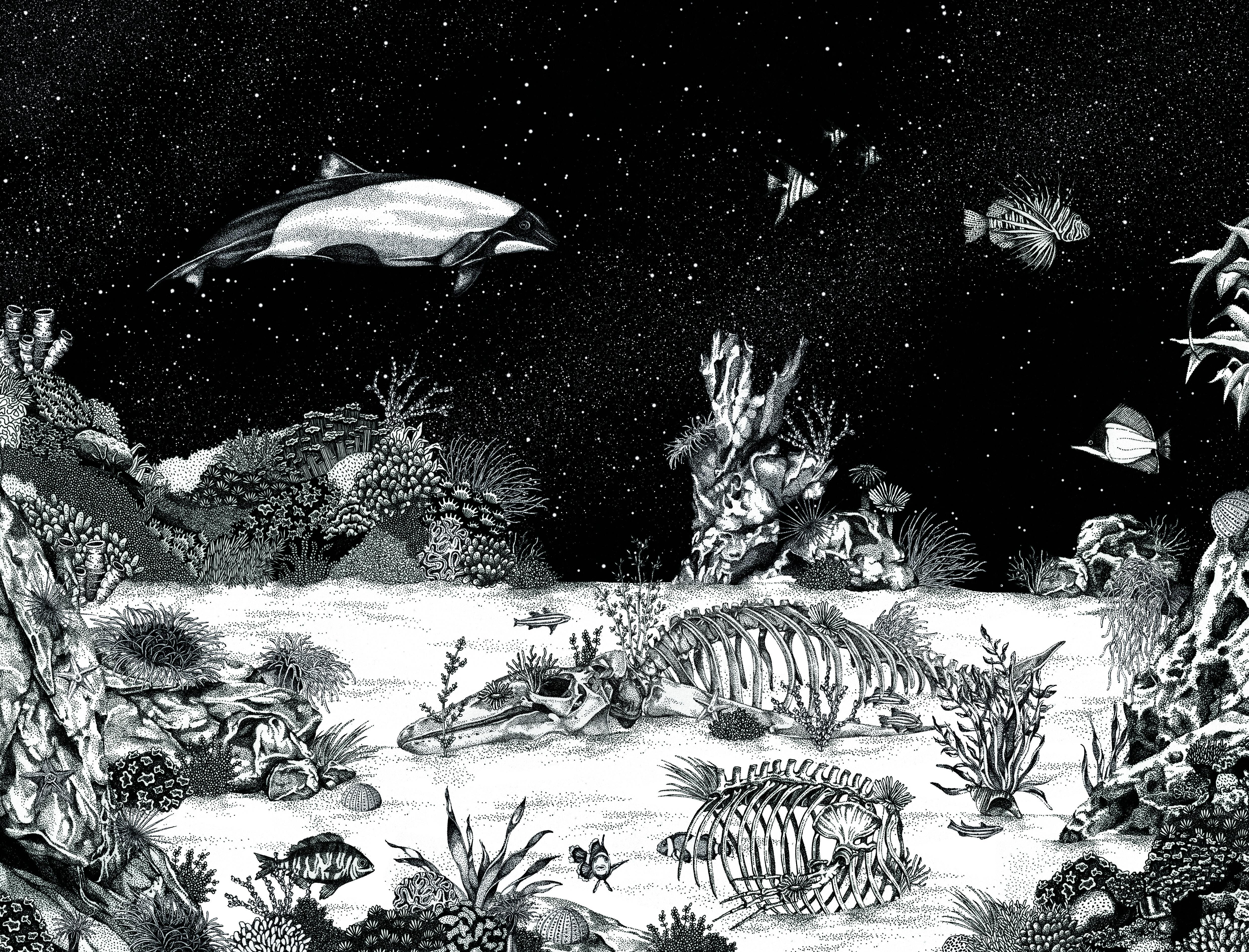 Beispielinhalt (Bild) Faszination Wale - Die Giganten unserer Zeit