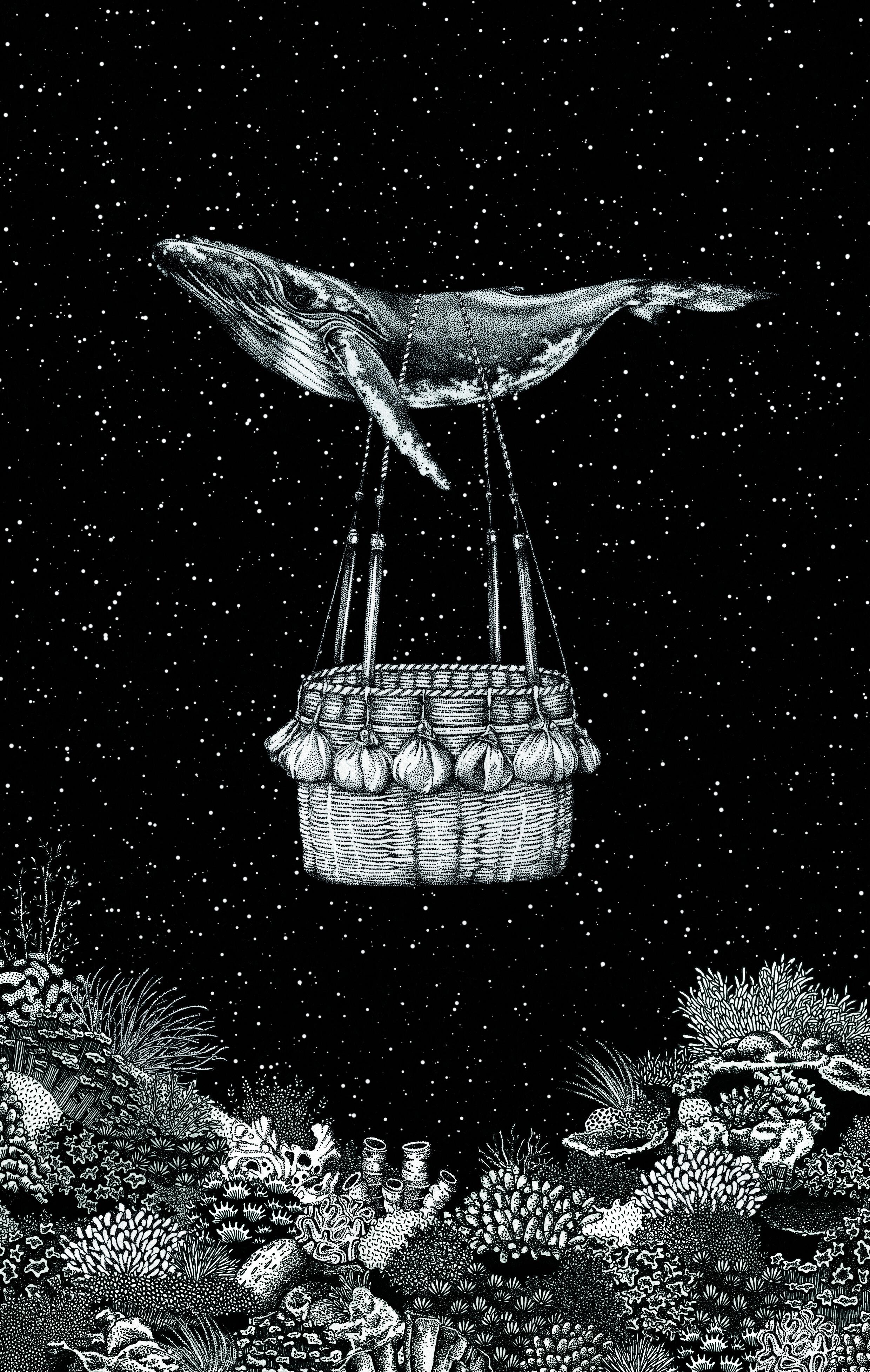 Beispielinhalt (Bild) Faszination Wale - Die Giganten unserer Zeit