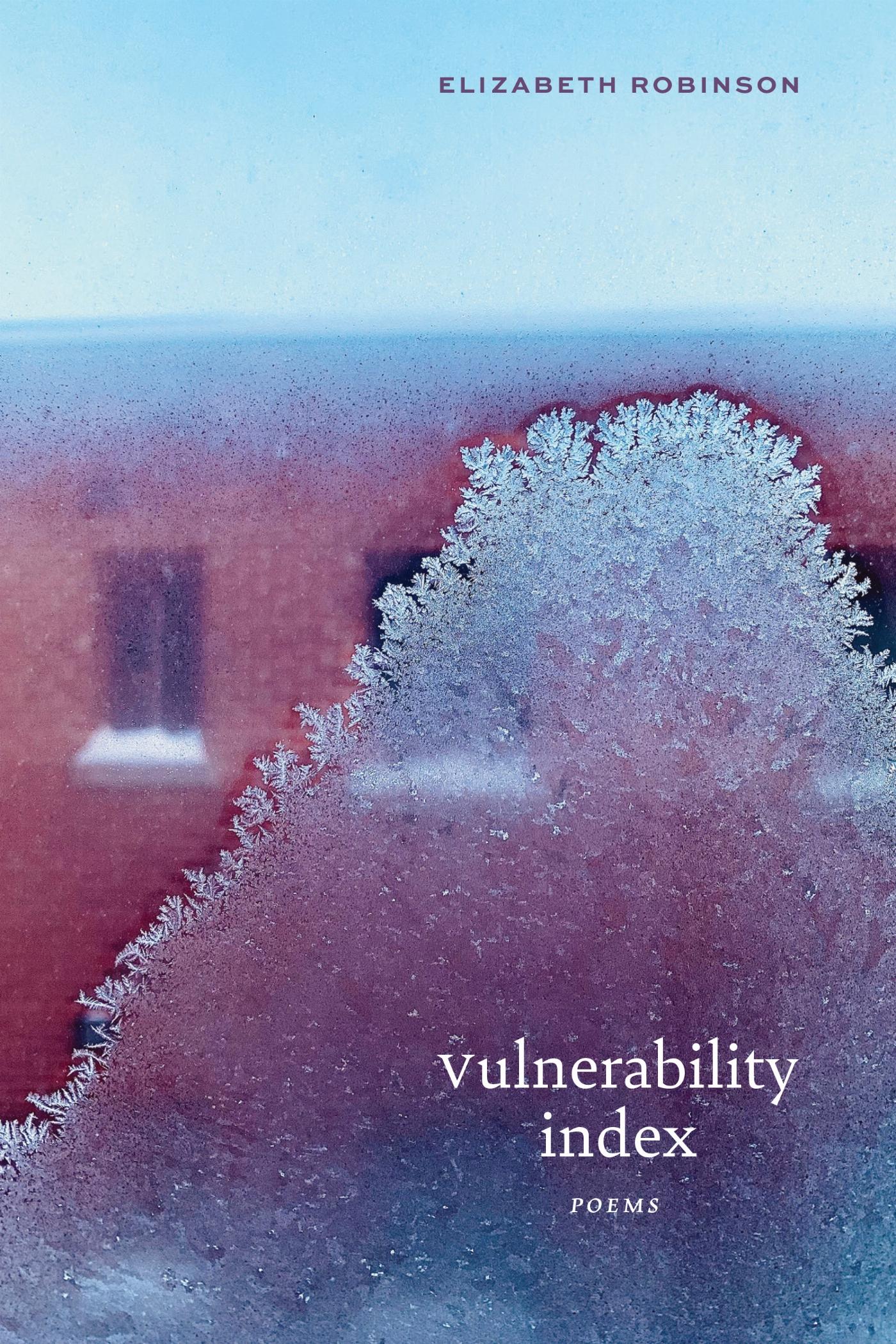 Vorderes Coverbild Vulnerability Index