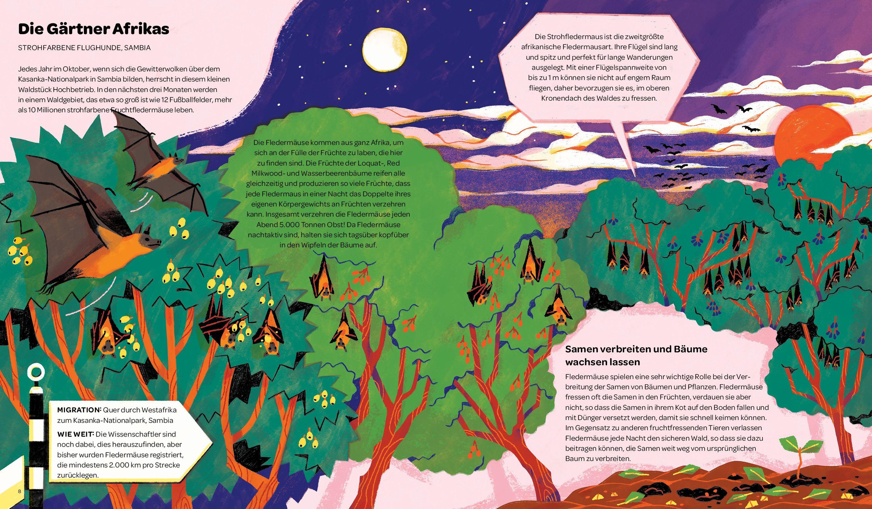 Beispielinhalt (Bild) Immer unterwegs