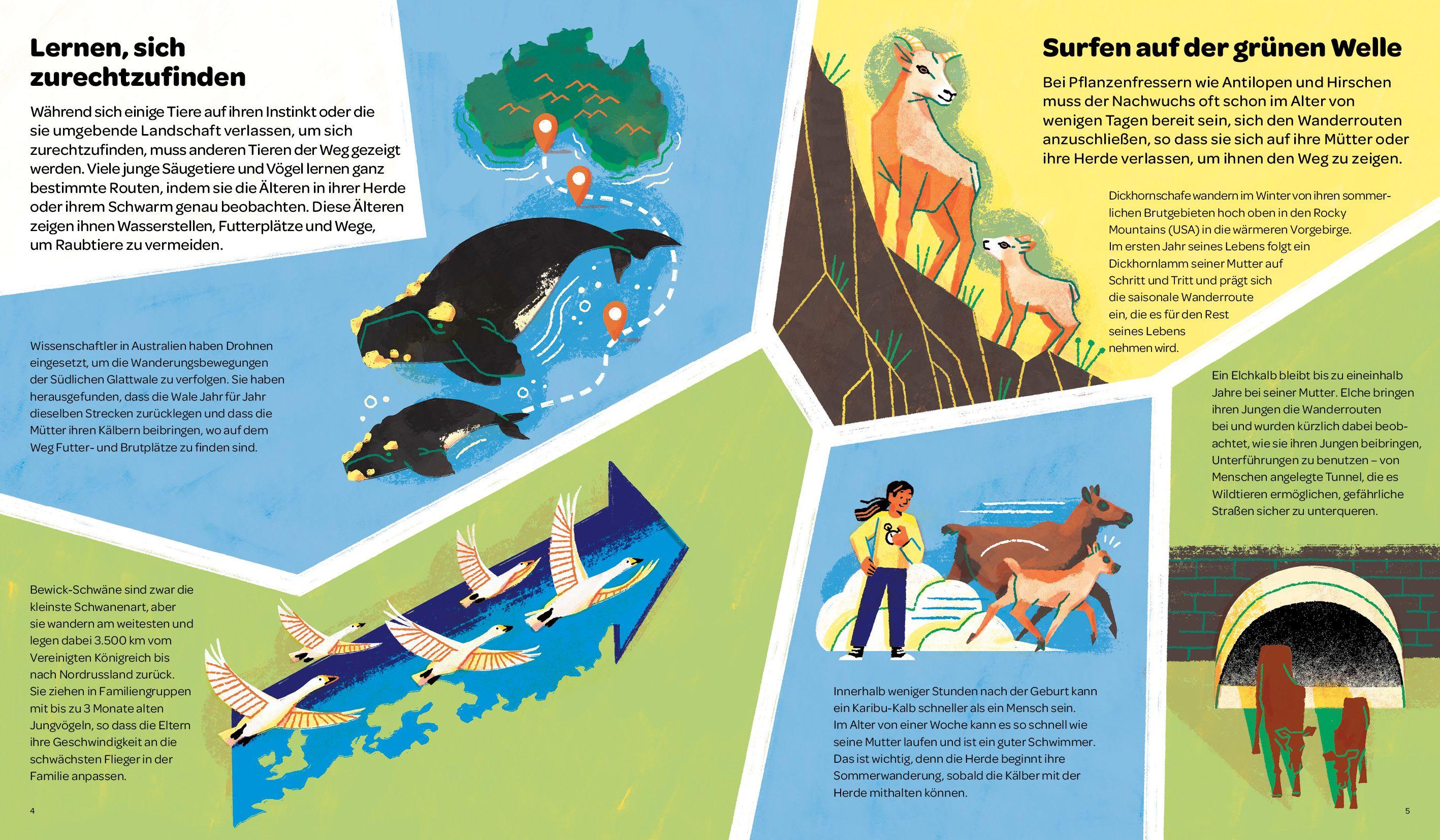 Beispielinhalt (Bild) Immer unterwegs